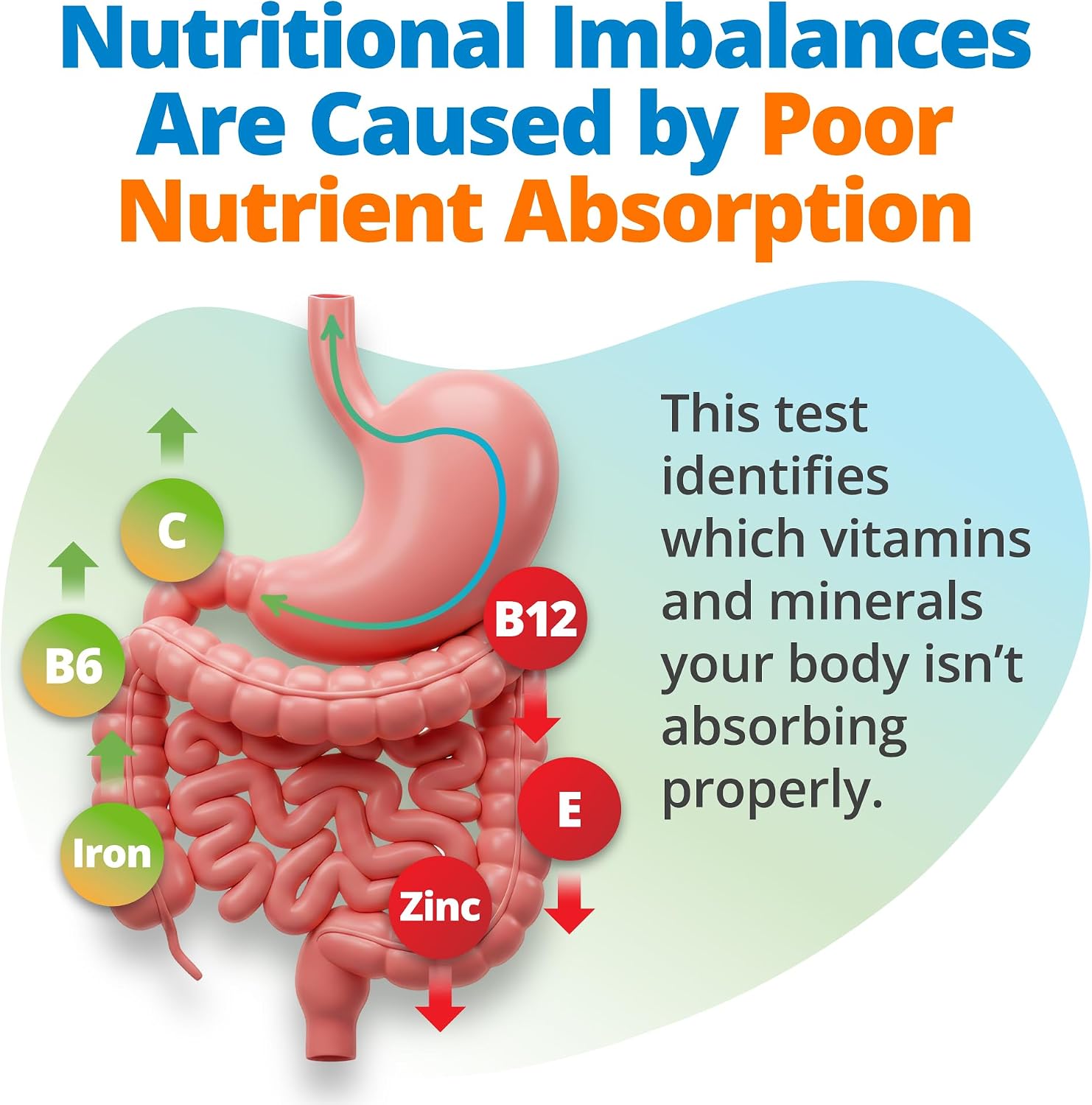 5Strands Nutrition Test, 112 Vitamins, Minerals, Amino Acids Tested, Identify Nutrient Absorption Issues, Holistic At Home Imbalance Testing