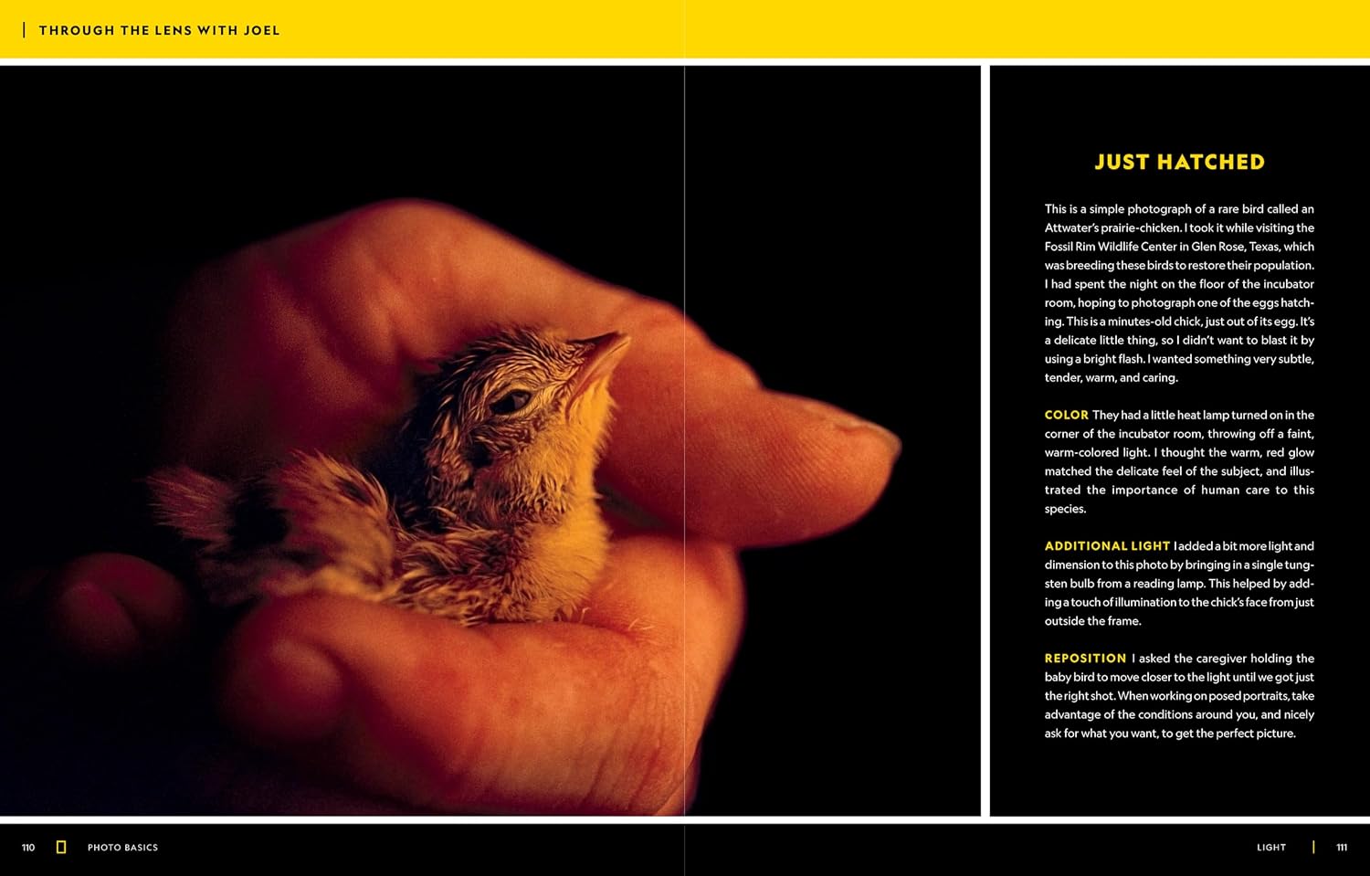 National Geographic Photo Basics: The Ultimate Beginner's Guide to Great Photography