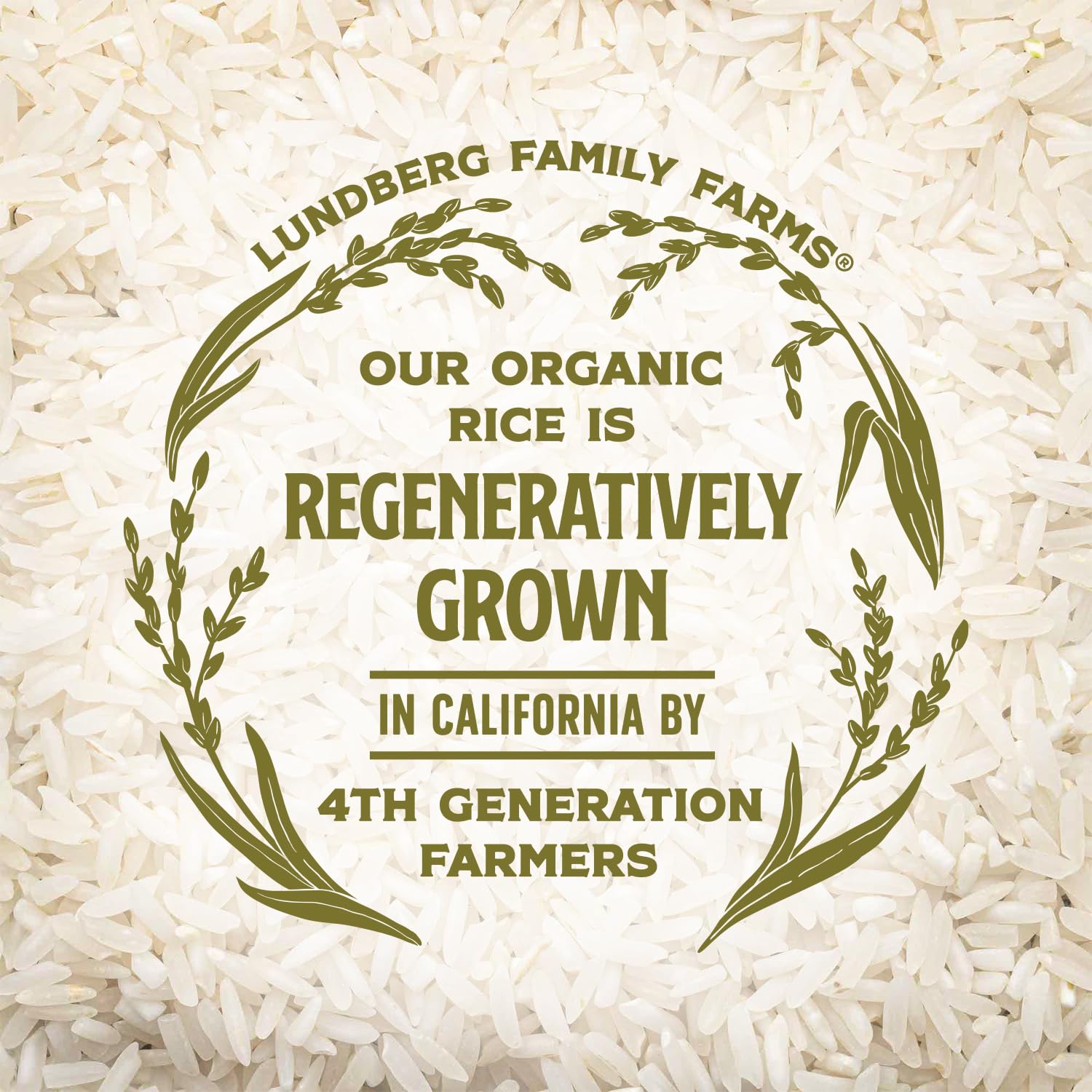 Lundberg Basmati Rice, Long Grain White Rice - Non-Sticky, Fluffy, Nutty, Aromatic Rice, Vegan Food, Healthy Meals, Gluten-Free, Grown in California, 64 Oz