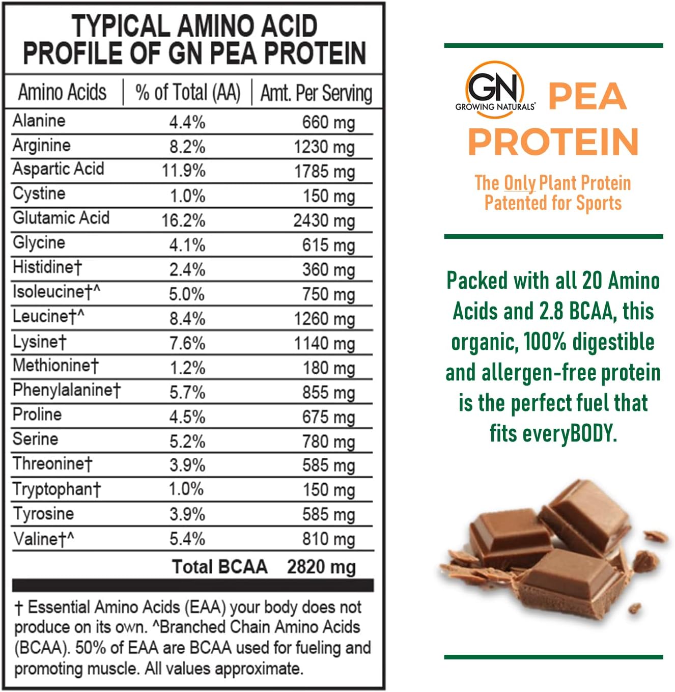 Raw Pea Protein Powder, Vegan Plant Based Protein, BCAA, Low-Carb, Low-Sugar, Chocolate Power, 1 Pound (Pack of 1)