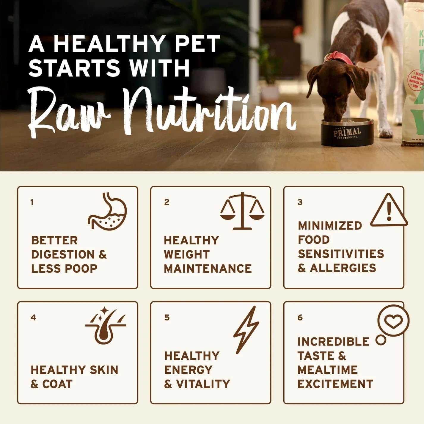 Primal Freeze Dried Raw Dog Food Nuggets, Beef, 14 oz | Complete & Balanced Nutrition, Meal, Topper or Treat, Grain-Free, High Protein, No Synthetic Vitamins & Minerals