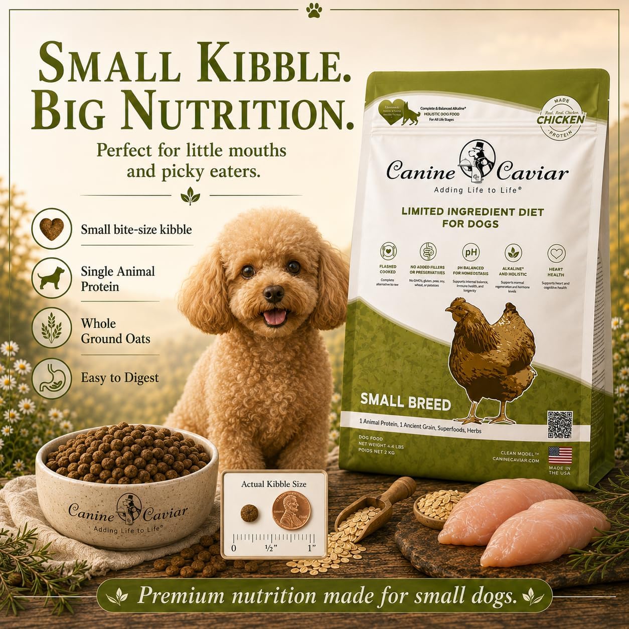 Canine Caviar - Open Range: Water Buffalo & Chickpea Alkaline Dry Dog Food, Limited Ingredients, Gluten-Free, Based on Science & Research, Veterinary Alternative Diet (22 Pound Bag)