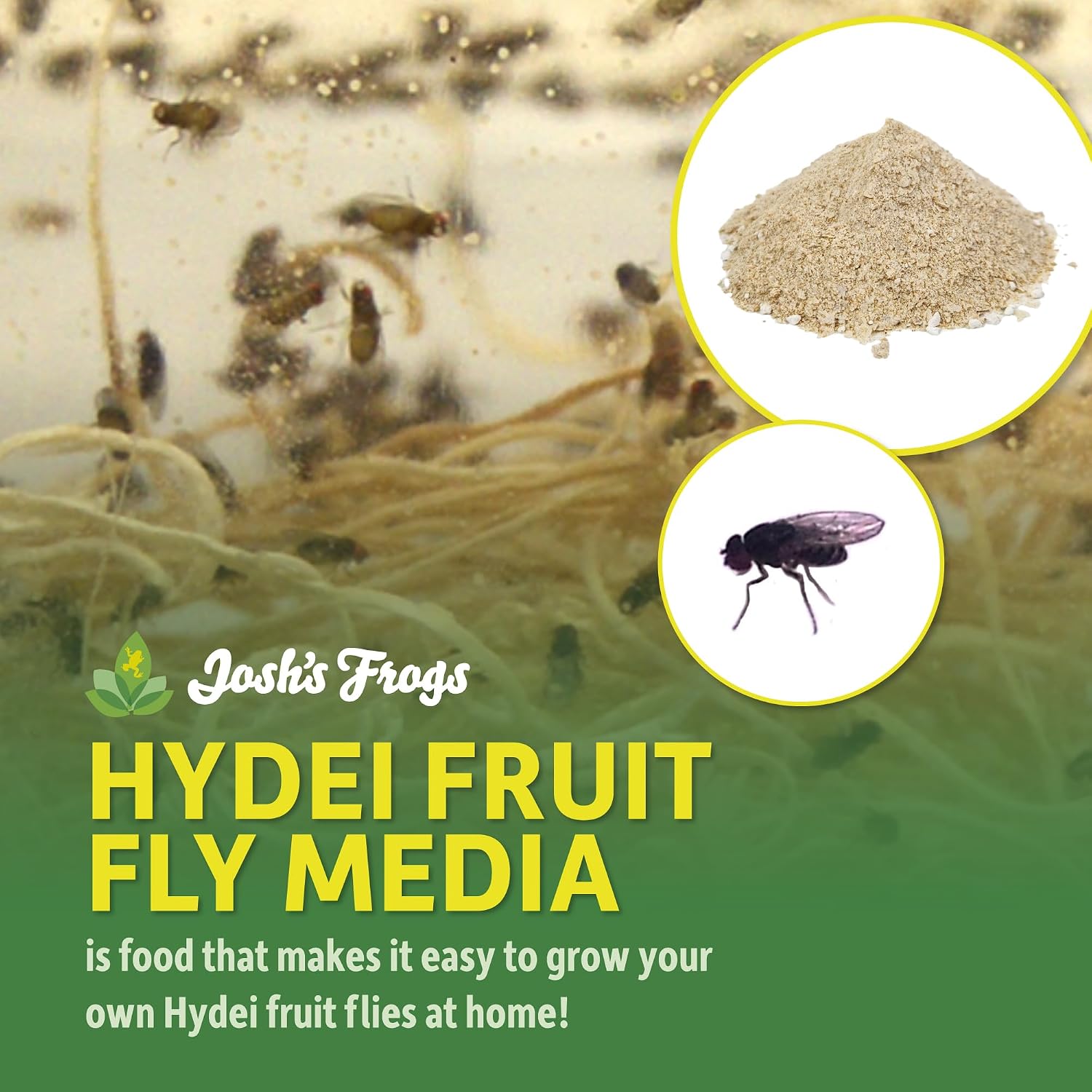 Josh's Frogs The Best HYDEI Fruit Fly Food Media, 3 lbs/2.7 Quarts | Makes 20 Fruit Fly Cultures