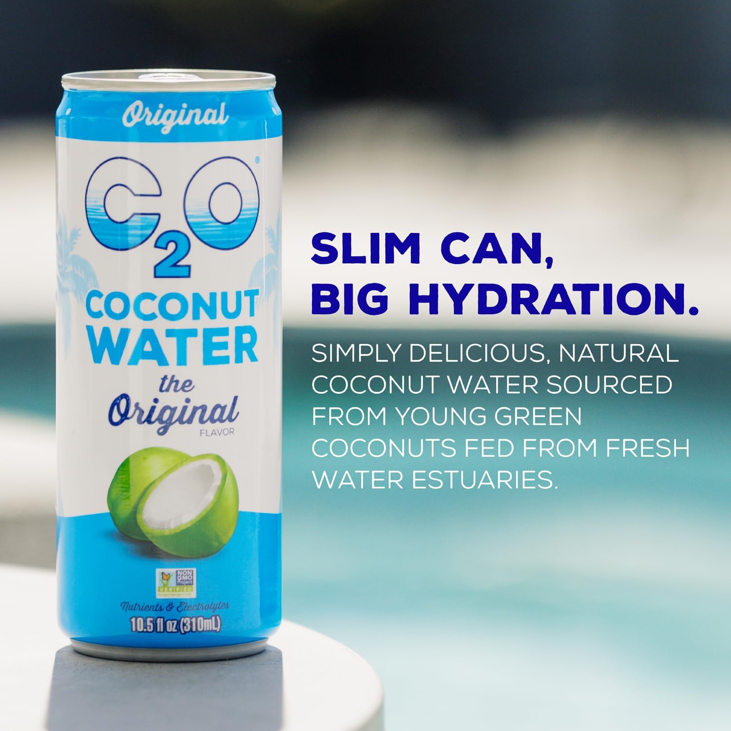 C2O - Coconut Water with Pineapple (12 Pack) - Made with Fresh Coconut Water - Plant Based - Non GMO - Canned Water - Natural Hydration, Essential Electrolytes, & Potassium - 12 Cans, 17.5 FL OZ