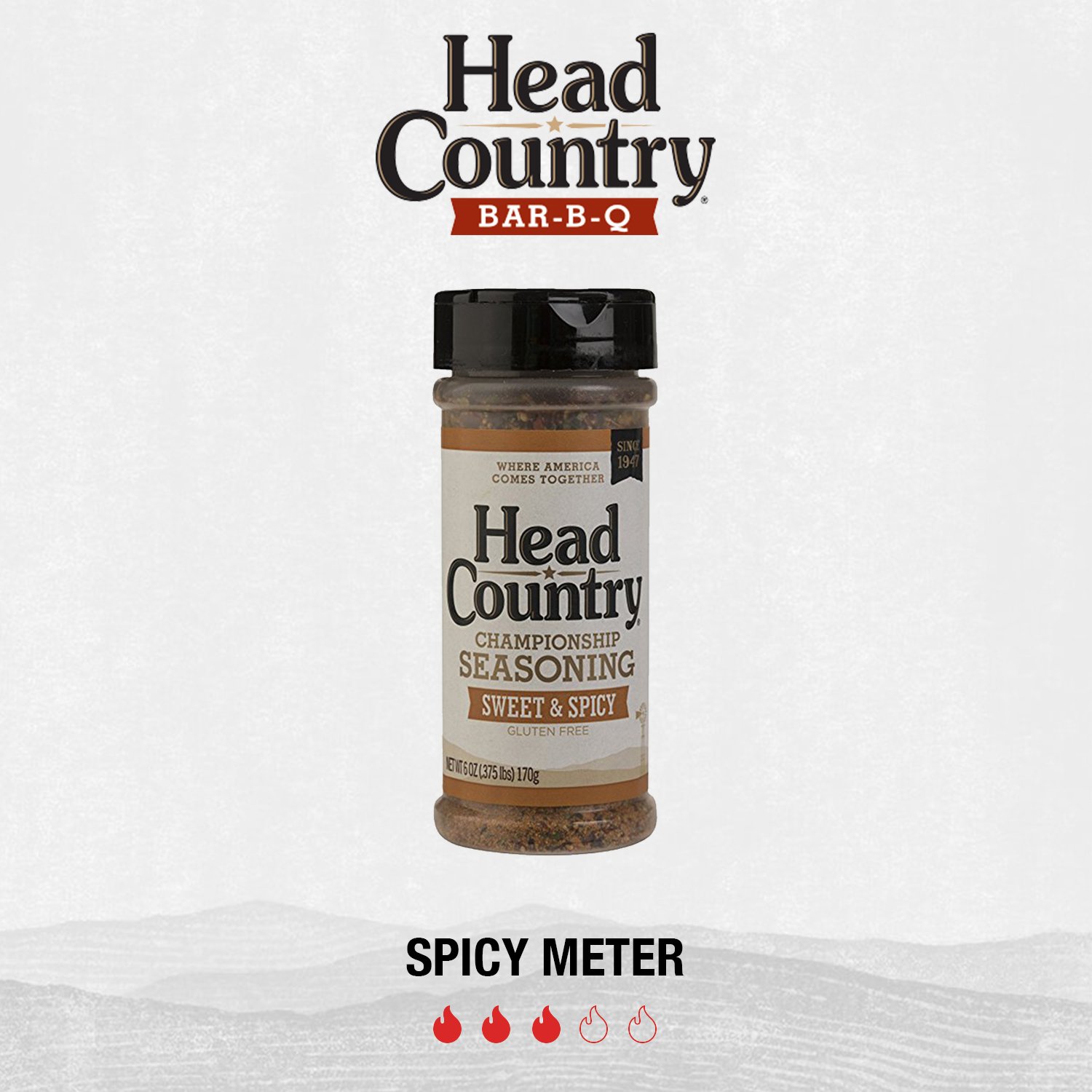 Head Country Championship BBQ Seasoning, Original | 26 oz, XL BBQ Rub