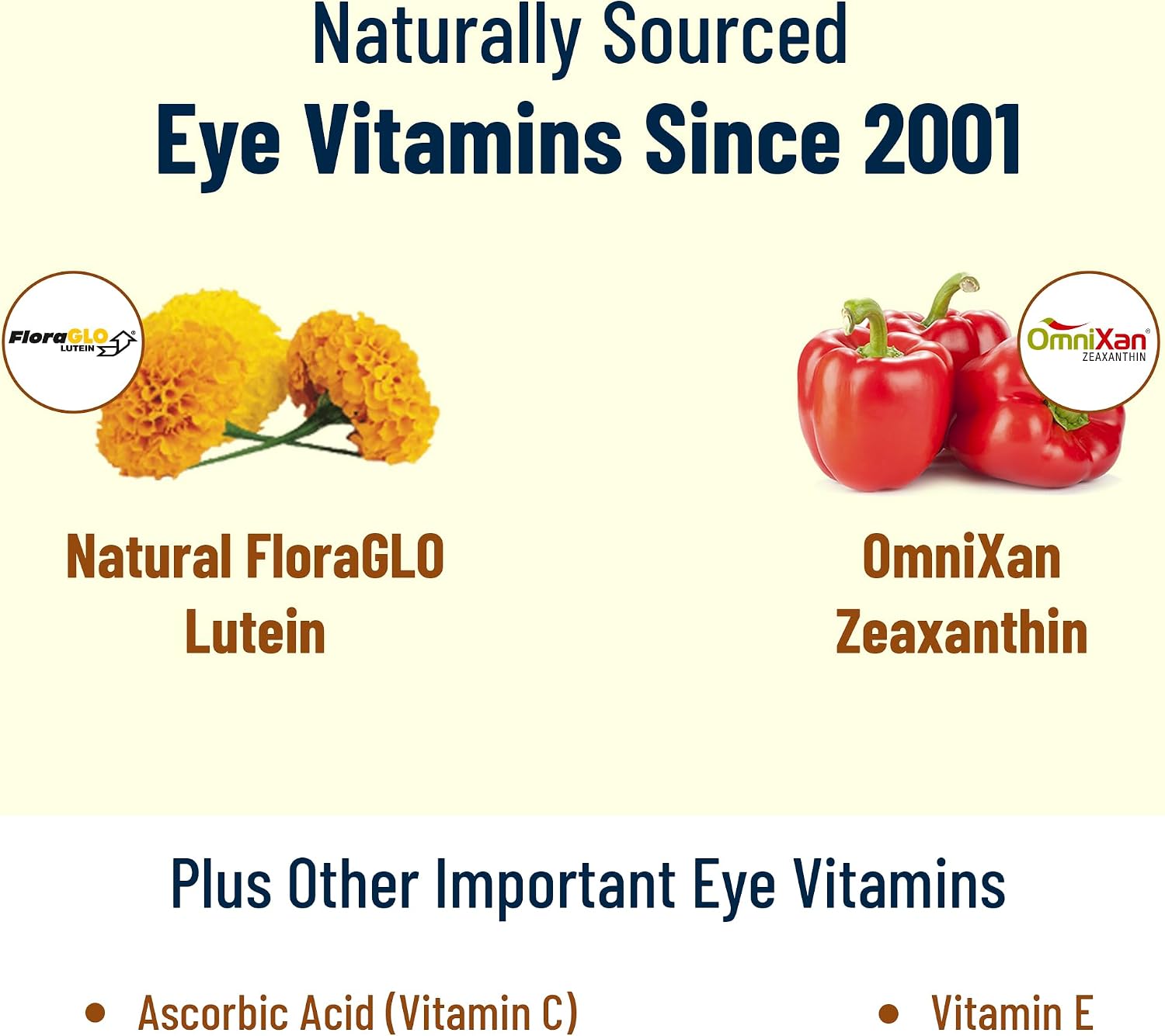 VisiVite Doctor Formulated AREDS 2 Eye Vitamins, Zinc Free, 60 Capsules | Macular Support Formula