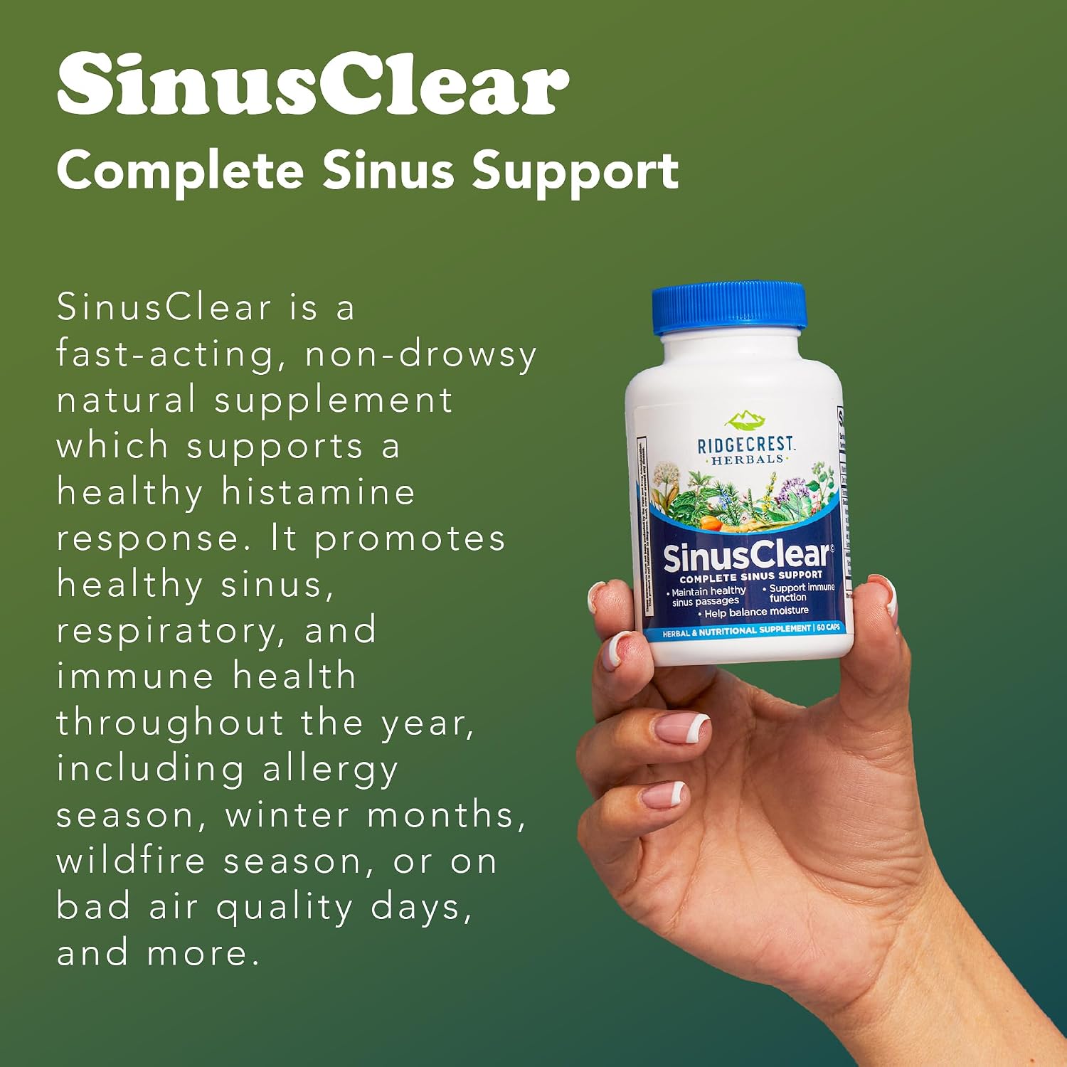 RidgeCrest Herbals SinusClear Mullein Sinus, Nasal and Immune Support 60 Ct | 30 Servings, Mullein Leaf, Bromelain, Vitamin C, Zinc