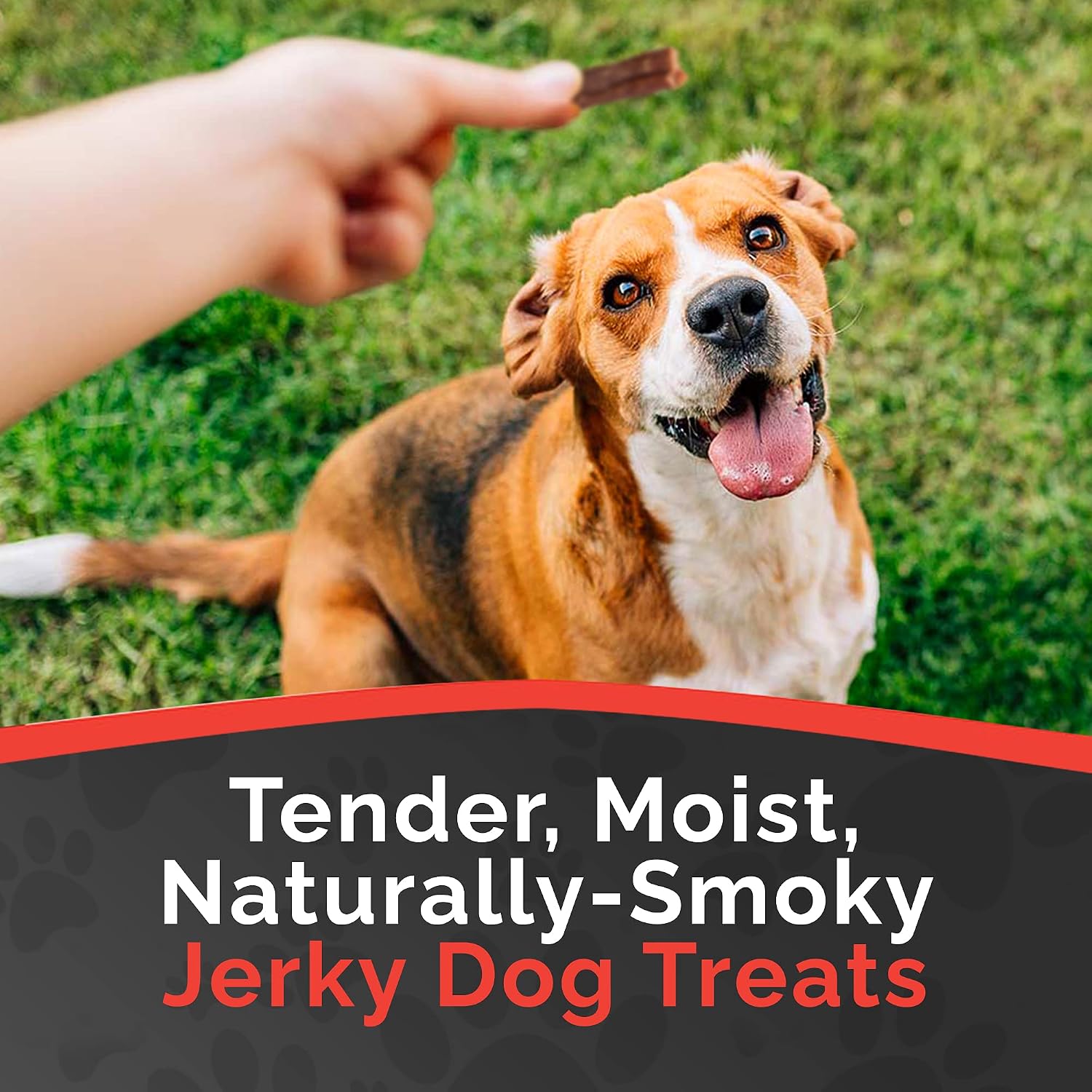 Miss Nelly's- All Natural Beef Jerky Dog Treats Made in USA Only, 16 oz Bag