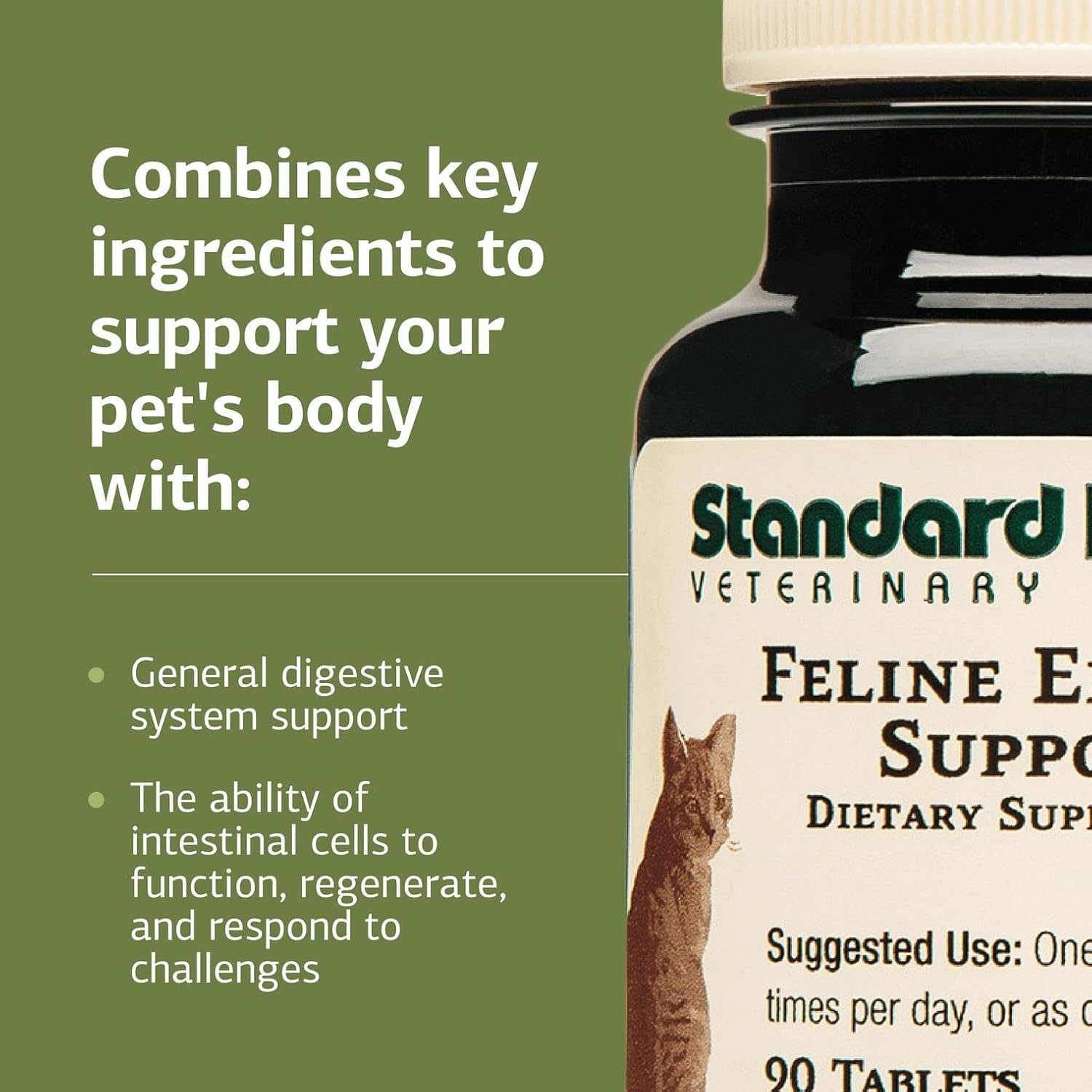 Standard Process Inc. Feline Enteric Support - 90 Tablets