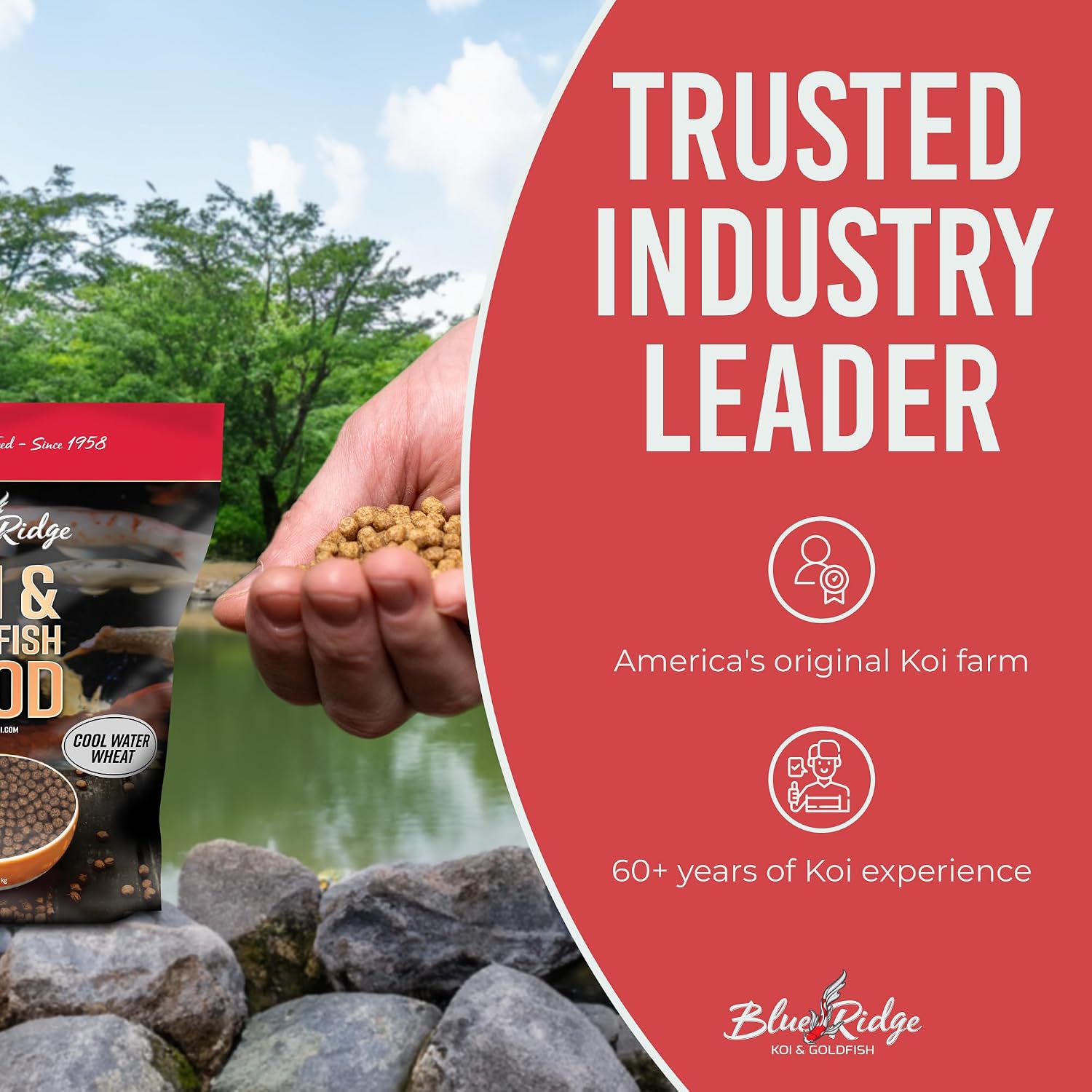 Blue Ridge Koi Fish Food 25lb - Cool Water Wheat 3/16", Fall and Winter Floating Pond Pellets, Ponds Fish Food