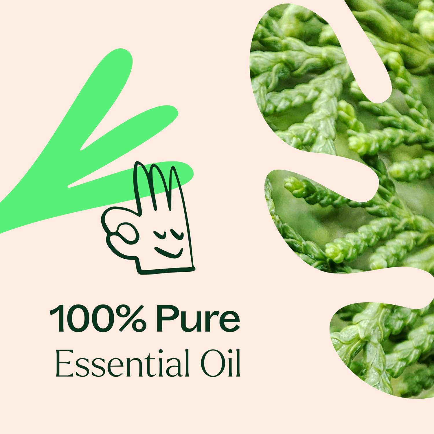 Plant Therapy Deodorizing Essential Oil Blend 10 mL Ideal for Cleaning | Pure Essential Oils, Undiluted, Ideal for Household Cleaning & Deodorizing