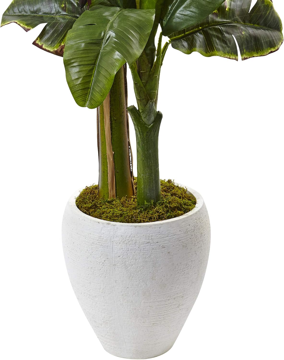 Nearly Natural 5ft. Double Stalk Banana Tree in White Planter