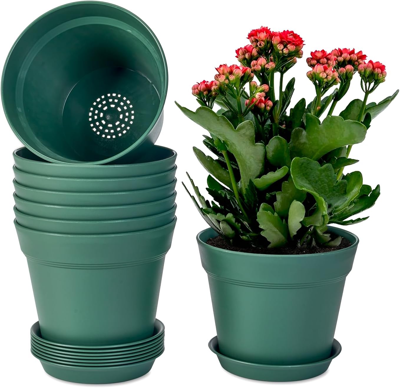 homenote 7.5 Inch Plastic Flower Pots with Drainage Holes and Trays (8 Pcs)