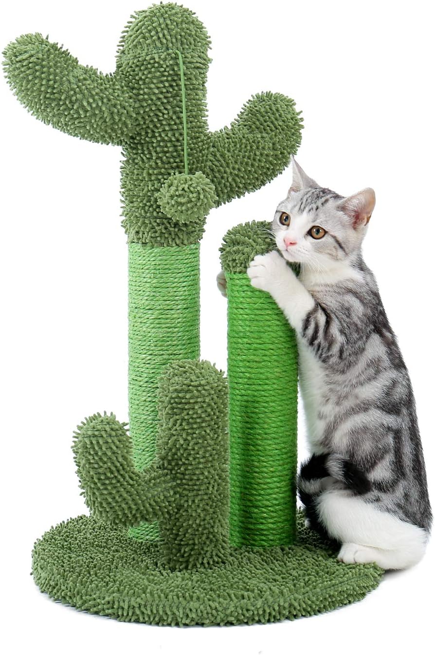 PAWZ Road Cactus Cat Scratching Post 23”Cat Scratcher with Toy Ball