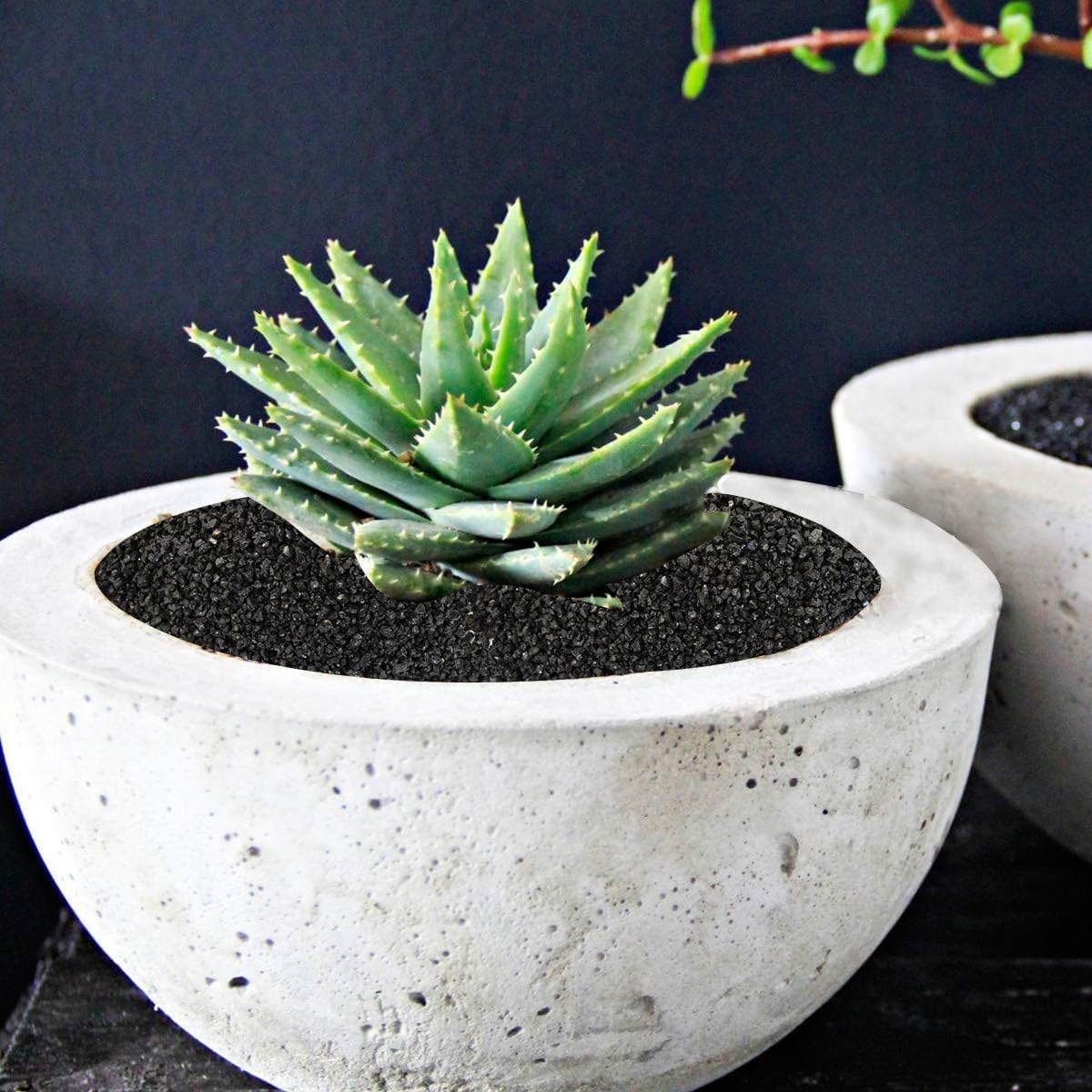 Mix Horticultural Lava Pebbles Pumice Potting Soil Amendment Succulent Cactus Bonsai Gritty Rock Decorative Gravel Plant Drainage Volcanic Rock for Terrarium Fairy Gardening Top Dressing 2.2lb
