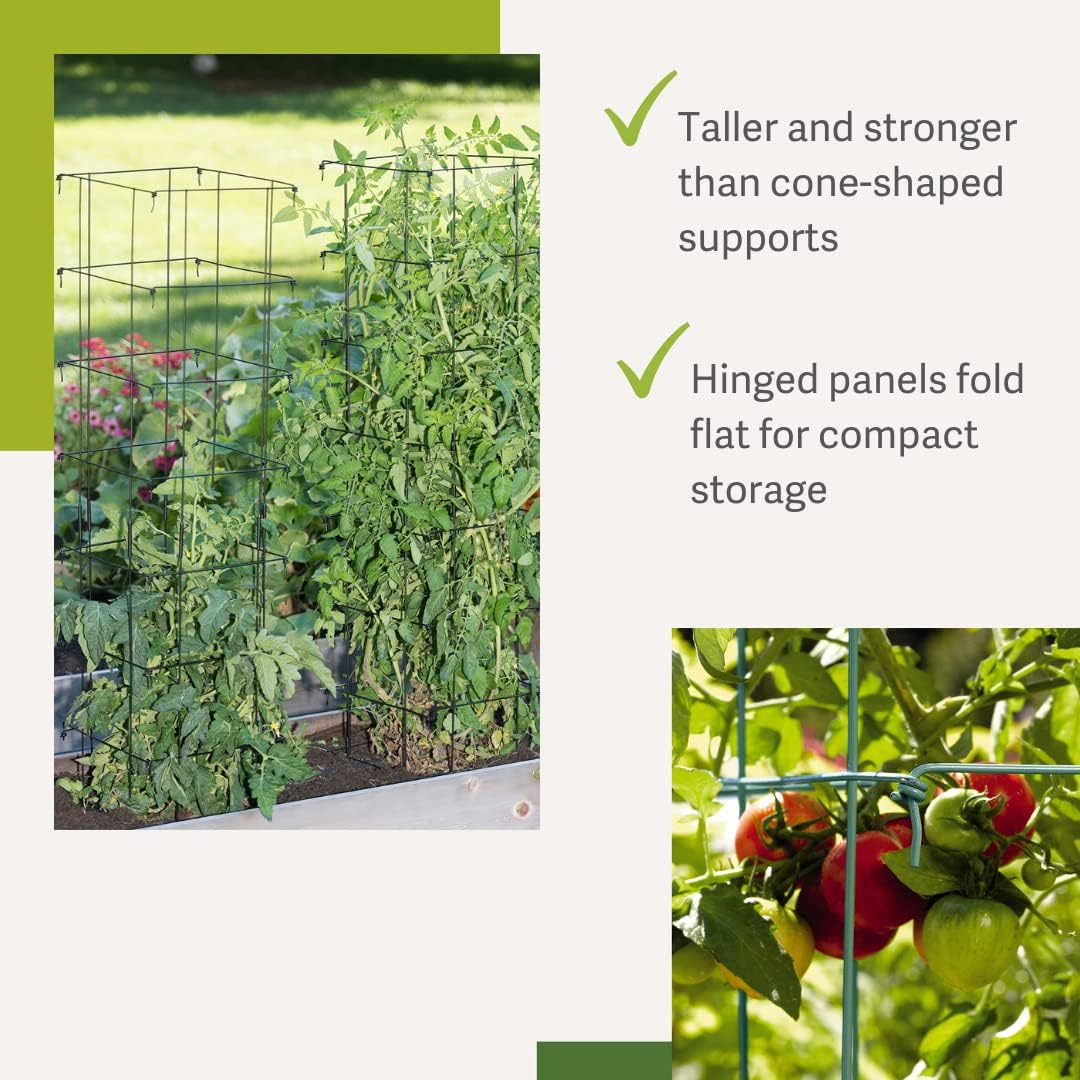 Gardener’s Supply Company Extra Tall Heavy-Guage Square Tomato Cages | Easy Fold Plant Supports & Vegetable Garden Stakes | 14.25" x 14.25" x 65"