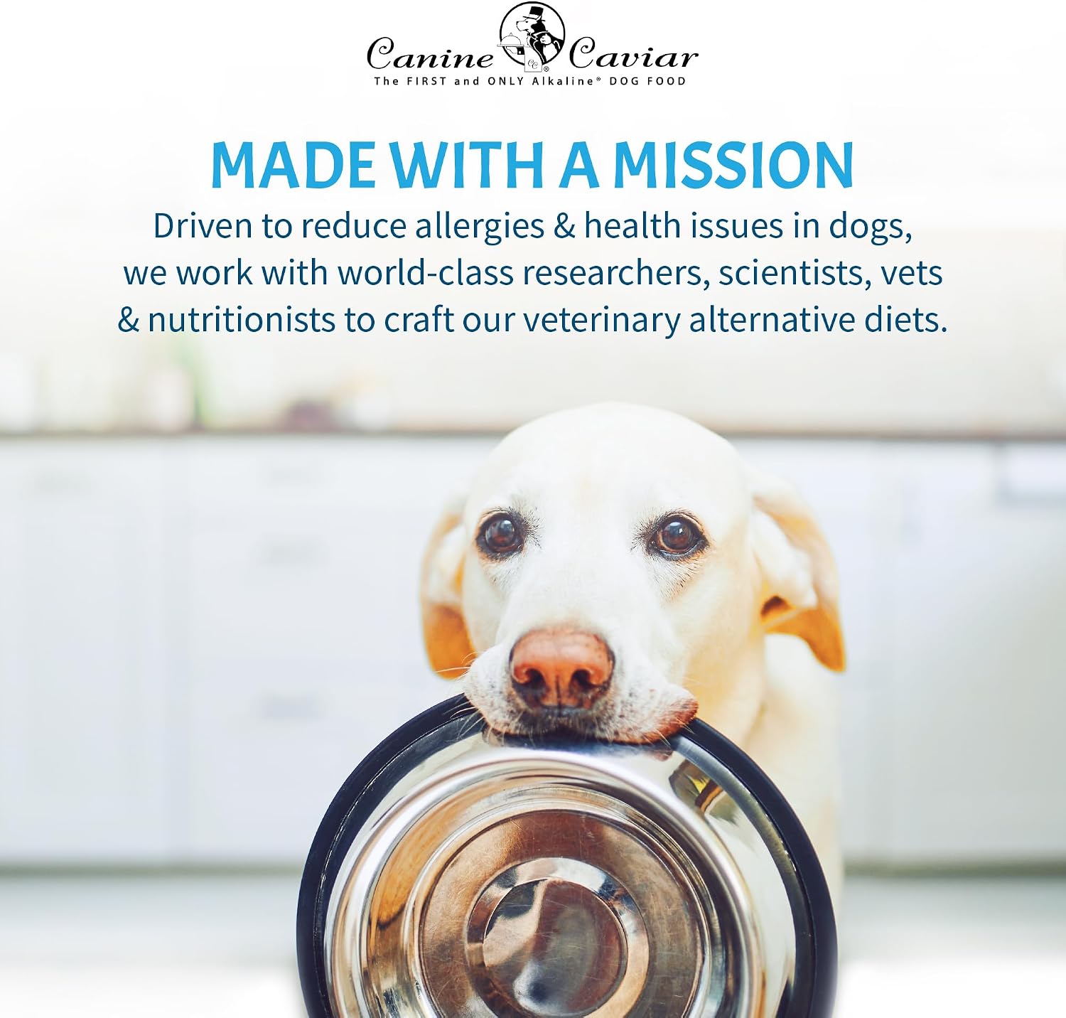Canine Caviar - Open Range: Water Buffalo & Chickpea Alkaline Dry Dog Food, Limited Ingredients, Gluten-Free, Based on Science & Research, Veterinary Alternative Diet (22 Pound Bag)