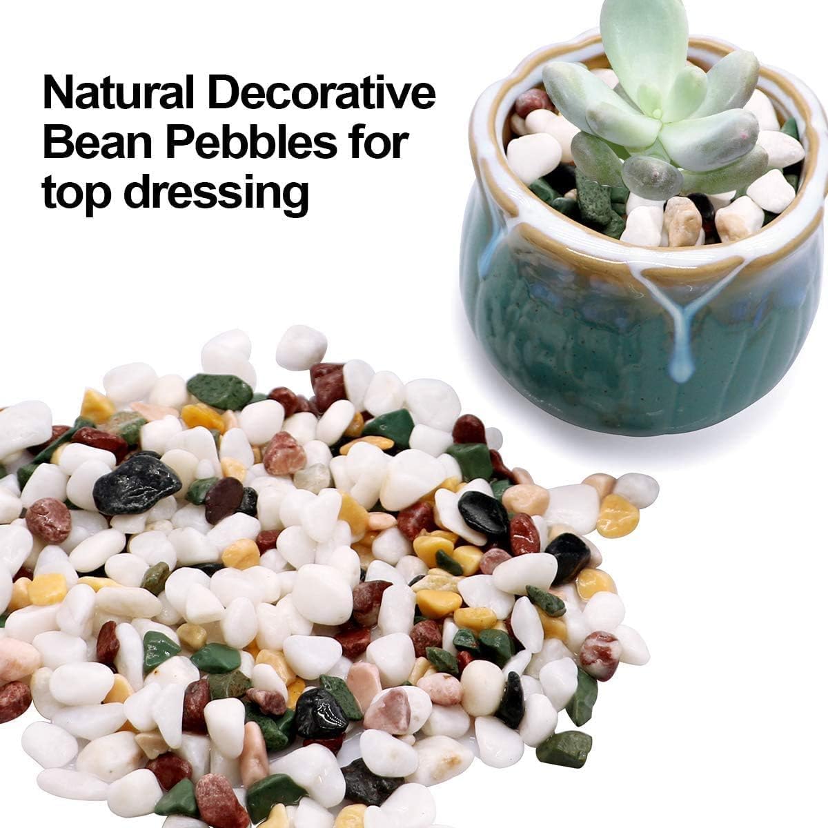 Mix Horticultural Lava Pebbles Pumice Potting Soil Amendment Succulent Cactus Bonsai Gritty Rock Decorative Gravel Plant Drainage Volcanic Rock for Terrarium Fairy Gardening Top Dressing 2.2lb