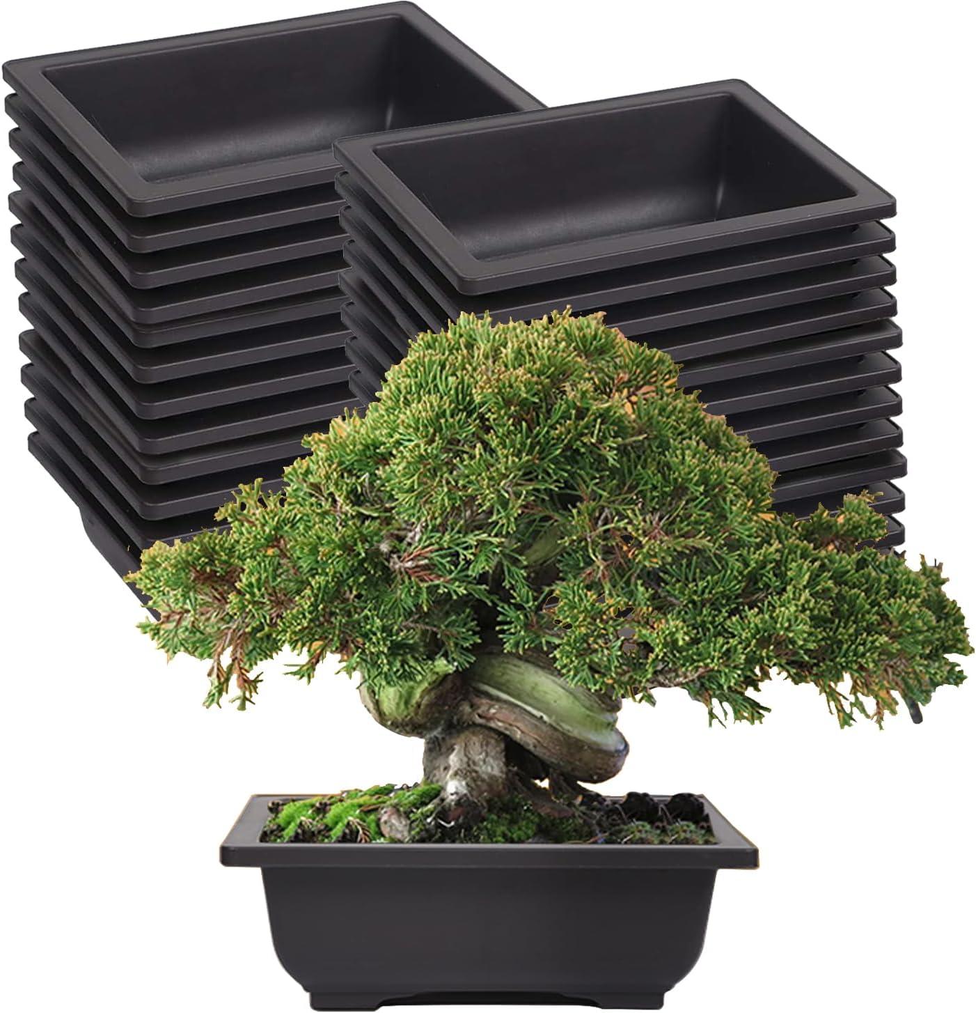 KINJOEK 25 PCS 6.5 Inch Plastic Bonsai Training Pots, Rectangular Plant Bonsai Tree Pot