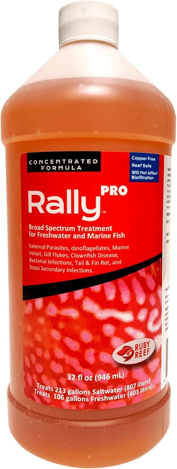 Rally Pro 8 oz. Round ( Pack of 2 )
