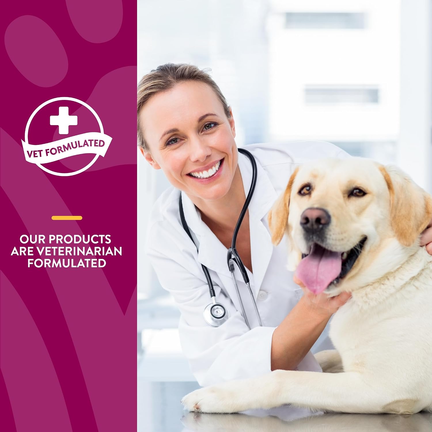 NaturVet – Glucosamine DS Plus - Level 2 Moderate Care – Supports Healthy Hip & Joint Function – Enhanced with Glucosamine, MSM & Chondroitin – for Dogs & Cats–70 Soft Chews