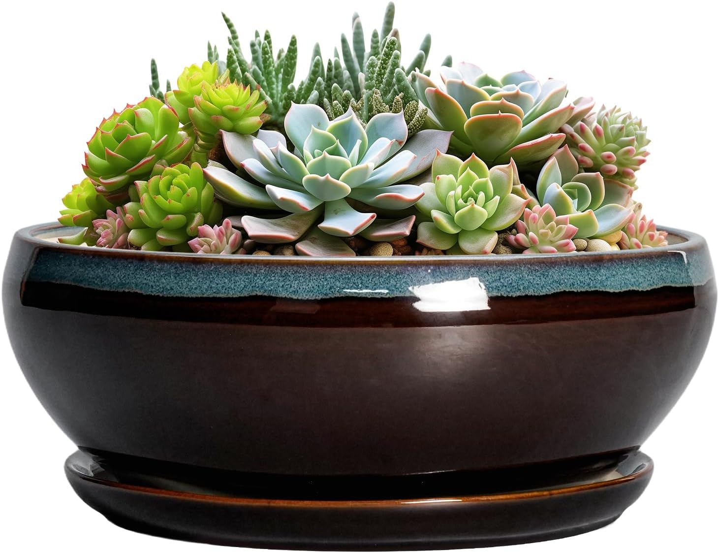 SQOWL 7 Inch Round Ceramic Succulent Planter Pot Drip Glazed Shallow Planter with Drainage Bamboo Tray for Indoor Plants