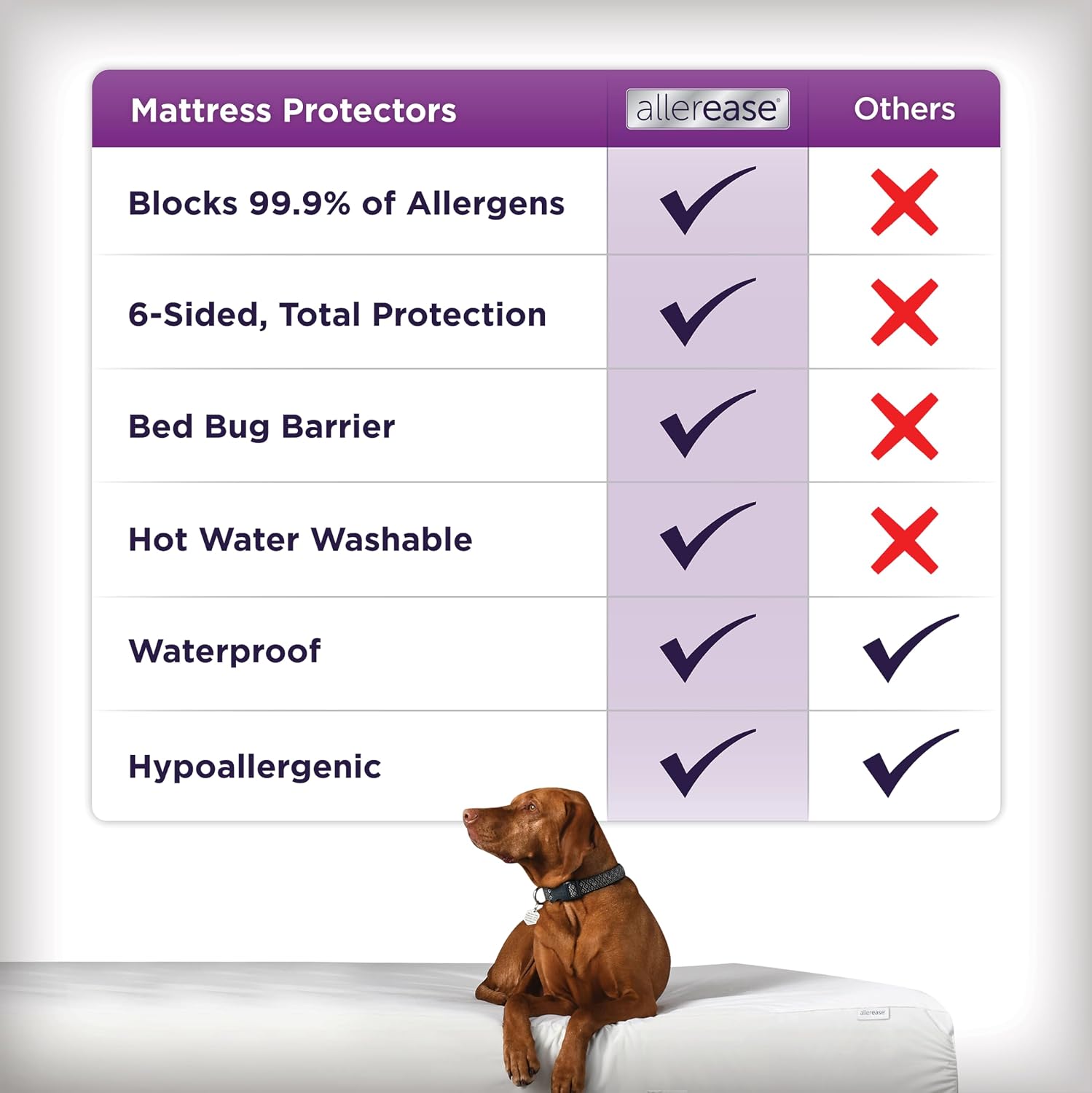 AllerEase Ultimate Allergy Protection and Comfort Zippered Mattress Protector Queen, White