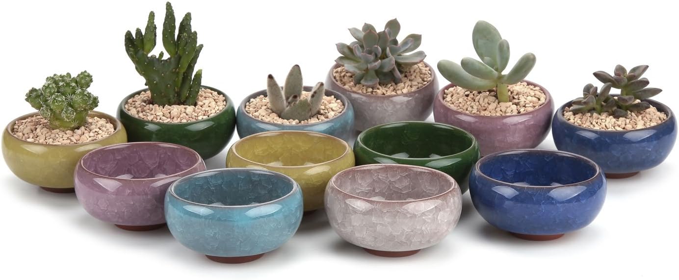 T4U 2.5 Inch Small Ceramic Succulent Planter Pot with Drainage Hole Set of 6, Ice Crack Glaze Plant Container for Cactus, Gardening Plant Gifts for Women Mom Aunt Home Office Decor | Cactus planters set, indoor herb garden, bonsai tree starter, tabletop…