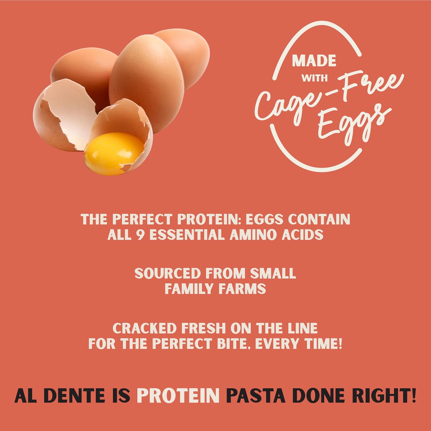 Al Dente Protein Egg Fettuccine 2-pack: 30g Protein from Eggs, Lower Carb | High Protein Fettuccine, No Beans/Legumes, Formerly Carba-Nada. Premium Pasta w/ Cage-Free Eggs, European Semolina Wheat
