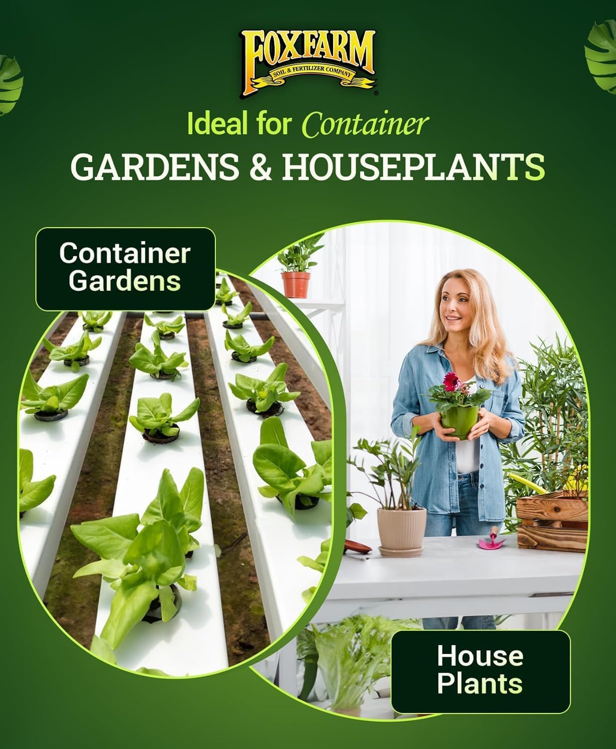 FoxFarm Ocean Forest Potting Soil for Container Gardens - Light, Aerated Texture with Fish Meal, Crab Meal, Earthworm Castings - Houseplant Potting Mix for Seedlings & Plant Starts - 4 x 12 Quart