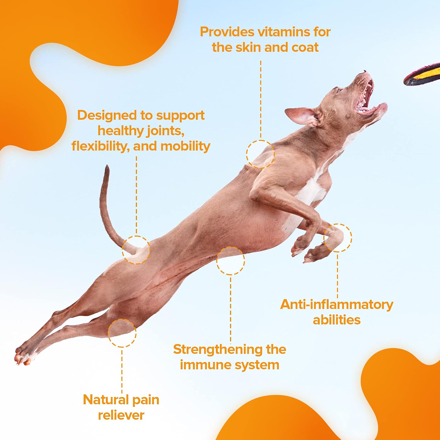Nature's Pure Edge Glucosamine Powder for Dogs and Cats - Joint Supplement with Chondroitin MSM and Turmeric for Hip and Joint Support - Senior