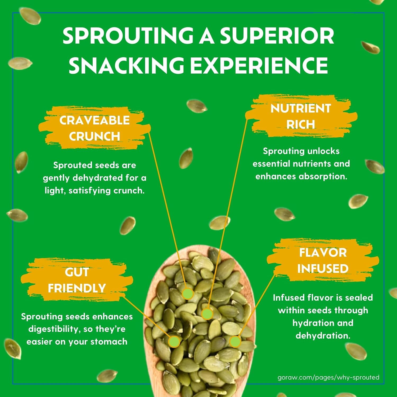 Go Raw Organic Sprouted Pumpkin Seeds - Sea Salted Pepita Snack | Keto, Non-GMO, Vegan, Gluten-Free, Kosher, Paleo, Protein-Packed Superfood, Healthy Vegan Snack for Adults and Kids, 14oz Bag