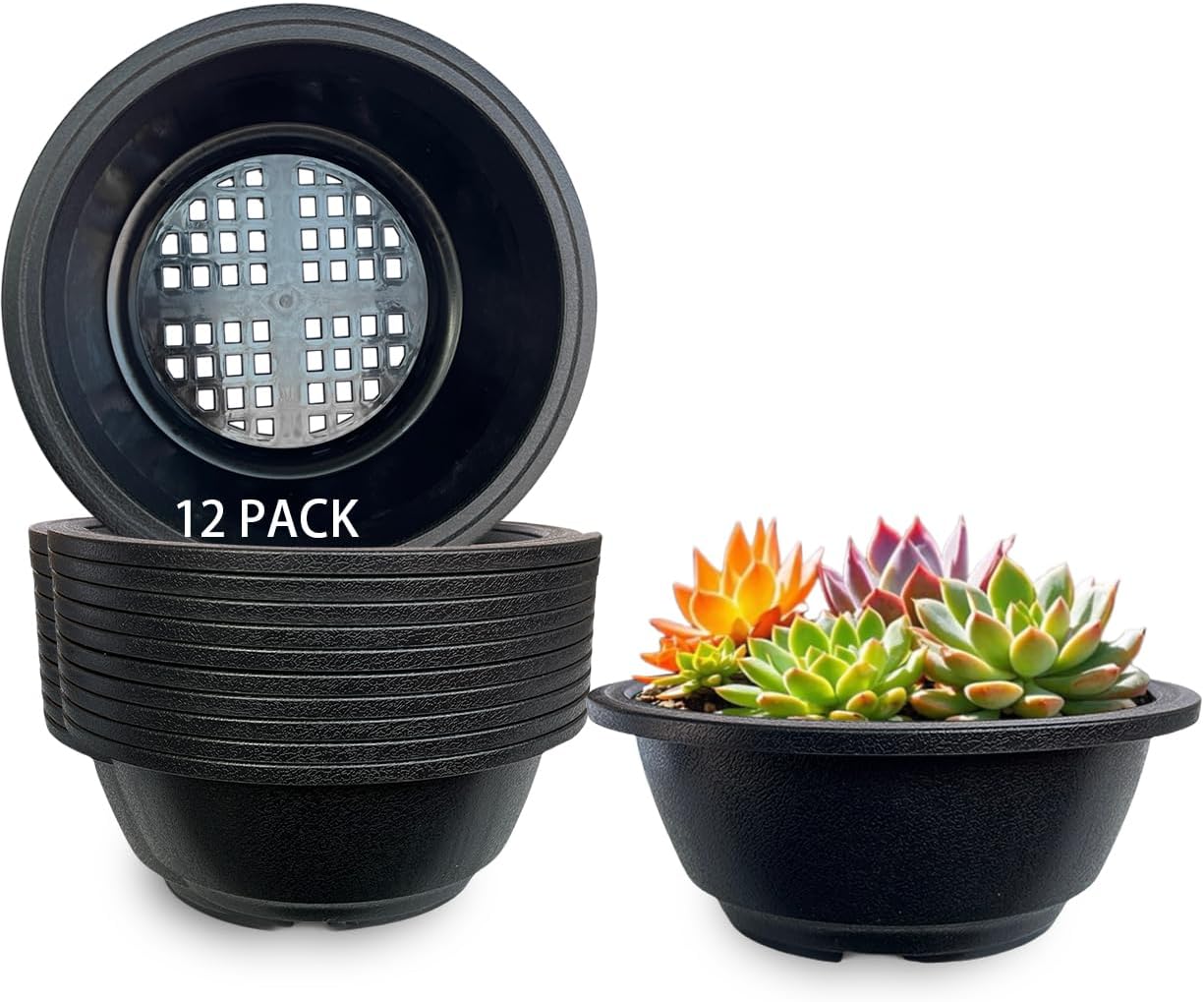 MUZHI 12PACK Matte Black Succulent Bonsai Round Planter Bowl Pot with Drainage, Plastic Cactus Flat Garden Plant Bowl Pots 6.3”