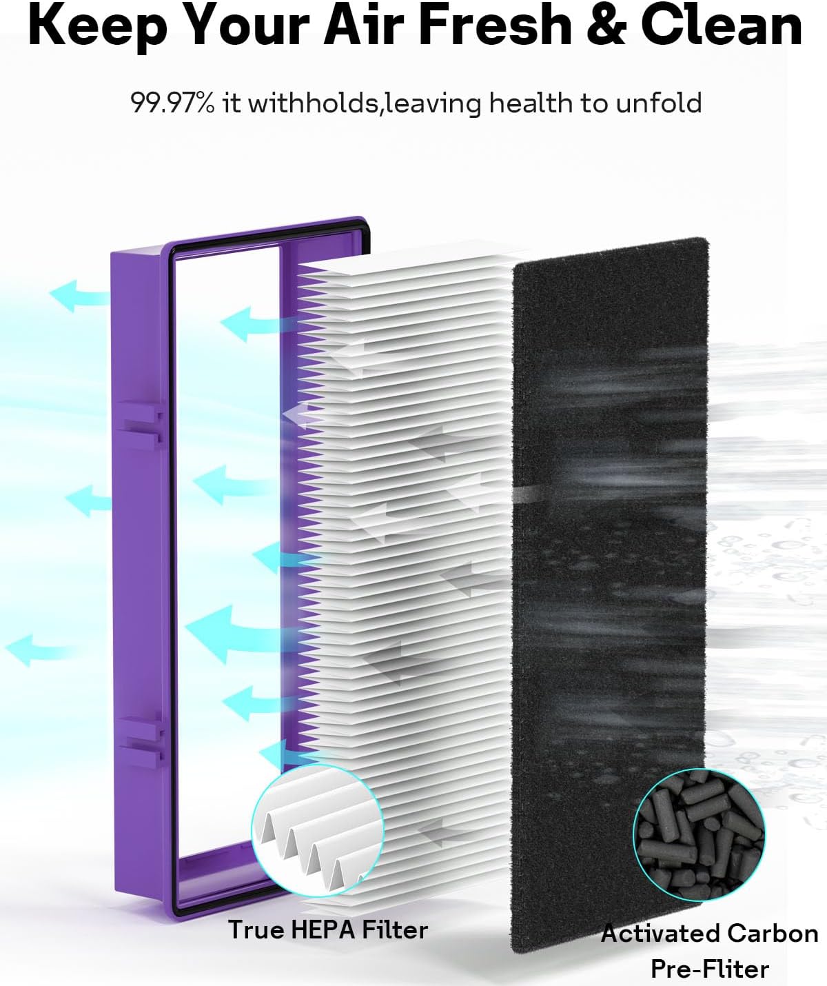 Leemone Aer1 Filter Replacement for Holmes/Bionaire Air Purifier, Blue 2+4