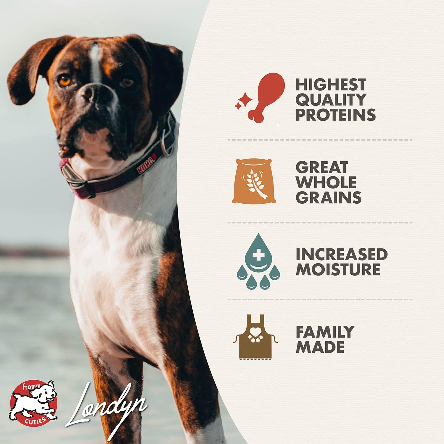 Fromm Venison & Lentil Pate Dog Food - Premium Wet Dog Food - Venison Recipe - Case of 12 Cans