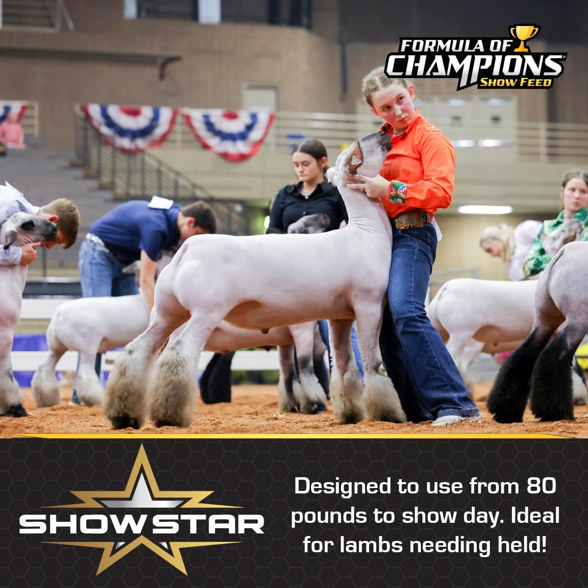 Show Star Textured Feed for Young Growing Lambs, 50 lb Bag