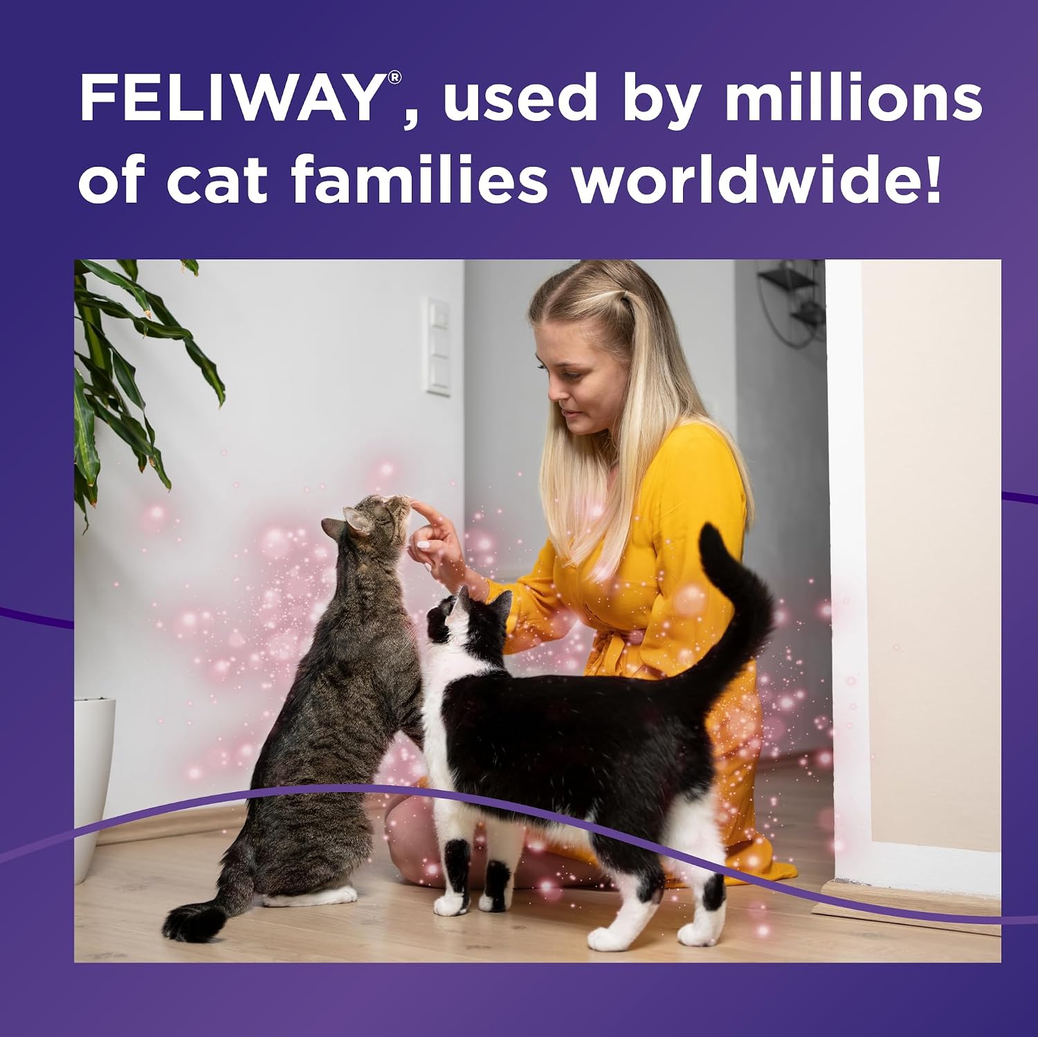FELIWAY MultiCat Cat Calming Pheromone Diffuser Kit | Helps Reduce Fighting, Tension and Aggression Between Cats due to Stress for Multi‑Cat Homes, 30 Day Supply