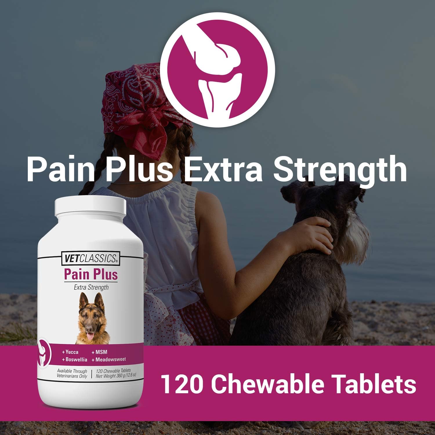 Pain Plus Extra Strength Health Supplement for Dogs - 120 Chewable Tablets