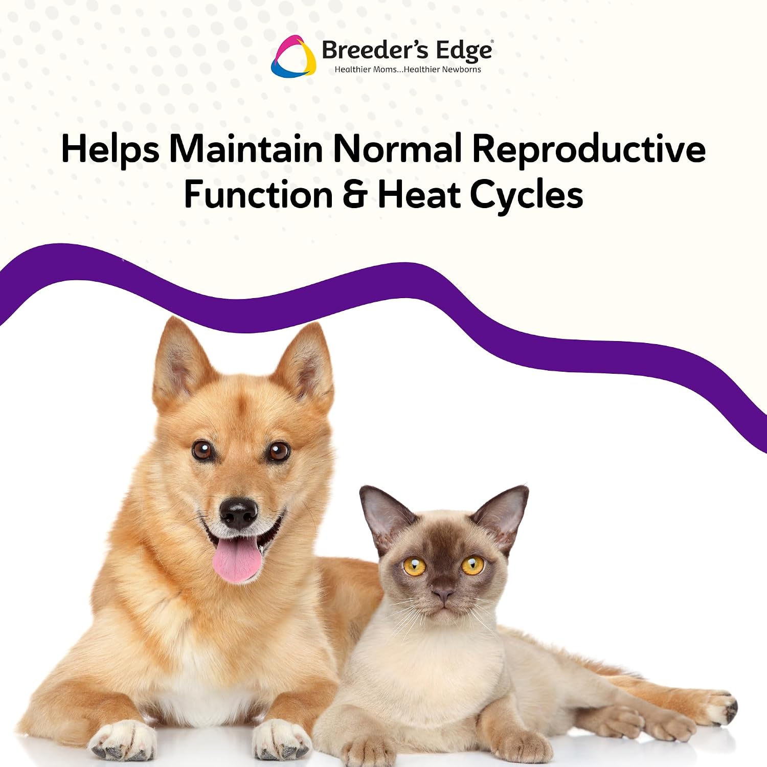 Breeder’s Edge B Strong Powder, B-Complex Vitamin Supplement for Dogs and Cats, Supports Reproductive Health, Promotes Normal Heat Cycles, and Helps Maintain Energy, 300g