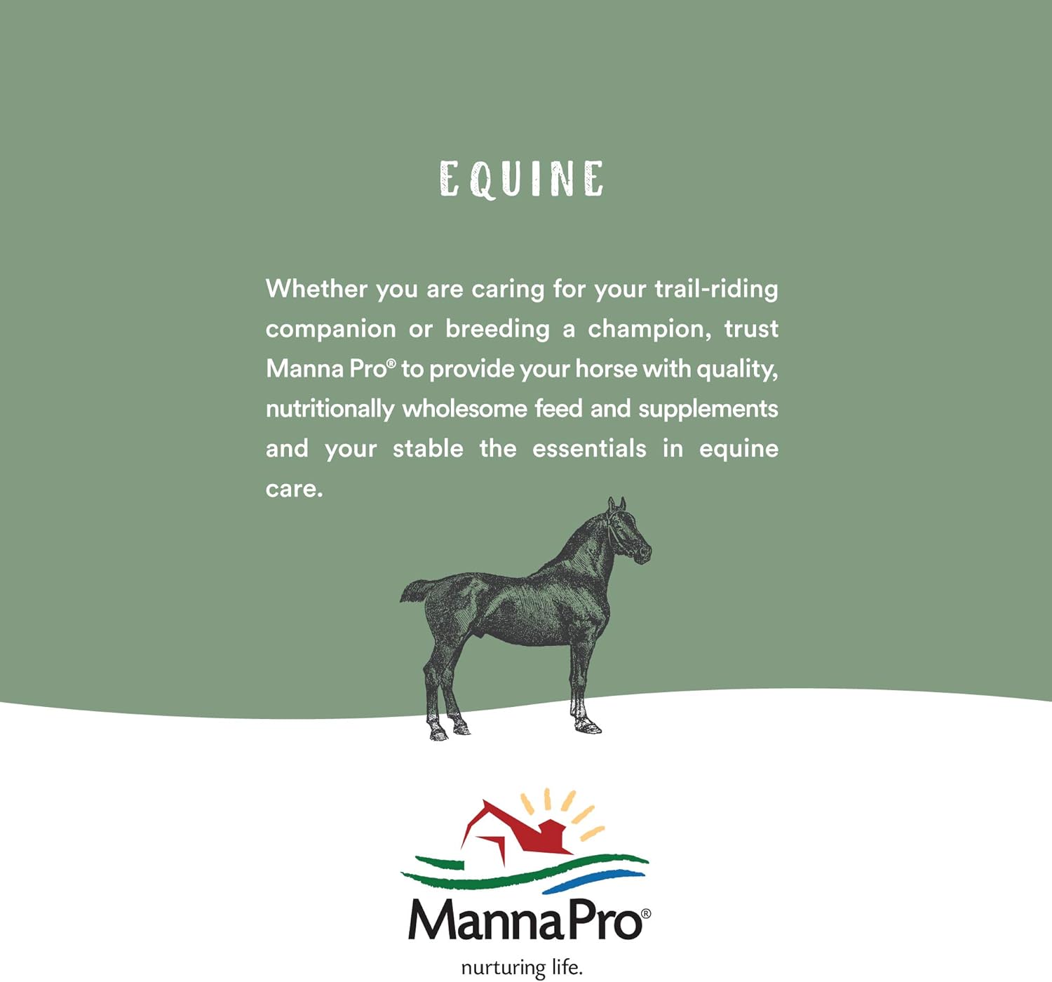 Manna Pro Layer Crumbles Chicken Feed, 16% Protein, Digestive Aid, 8 lb Bag | Complete Feed for Laying Hens, 16% Protein Formula, Added Probiotics, Supports Egg Production & Digestion