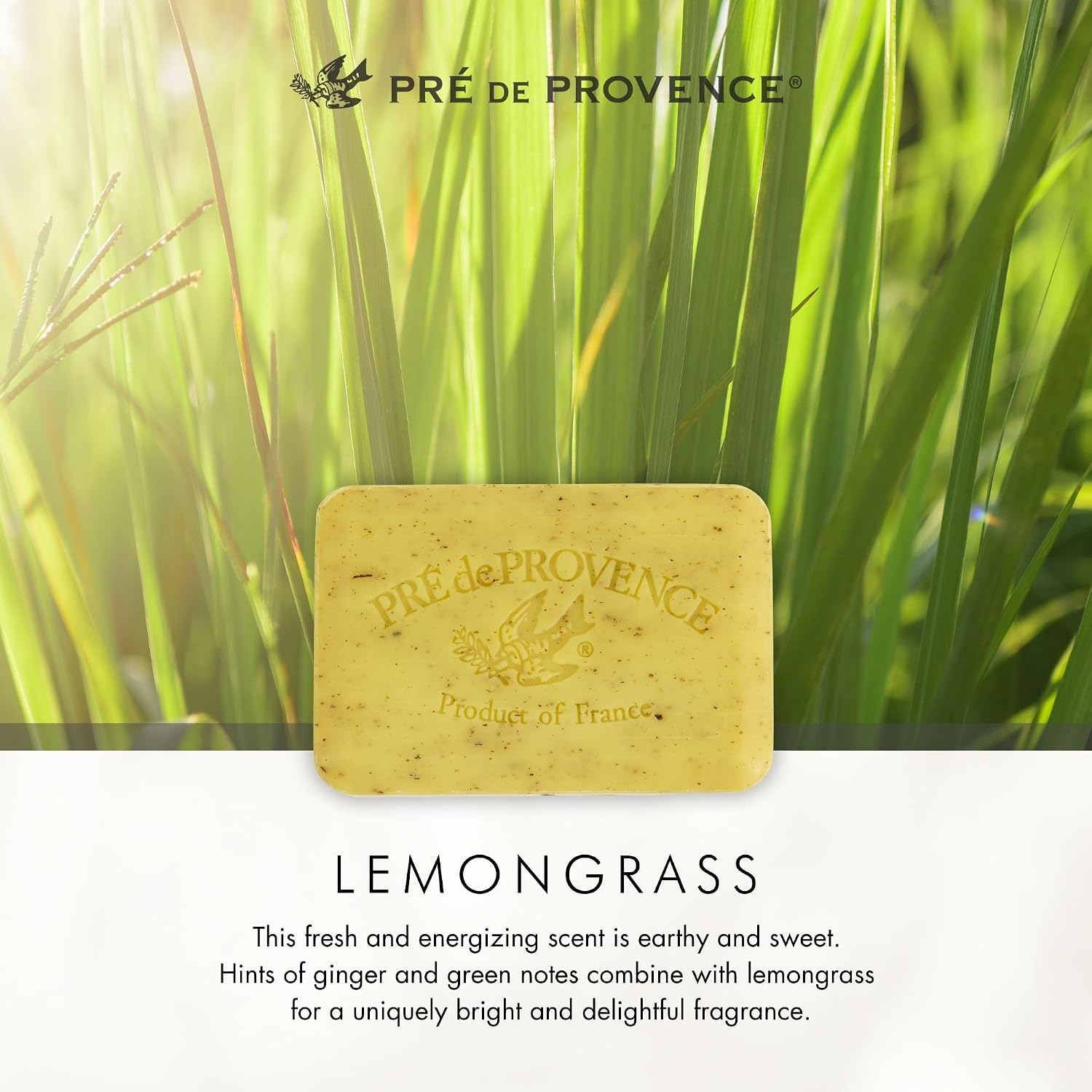 Pre de Provence Artisanal Soap Bar, Natural French Skincare, Enriched with Organic Shea Butter, Quad Milled for Rich, Smooth & Moisturizing Lather, Linden, 5.3 Ounce