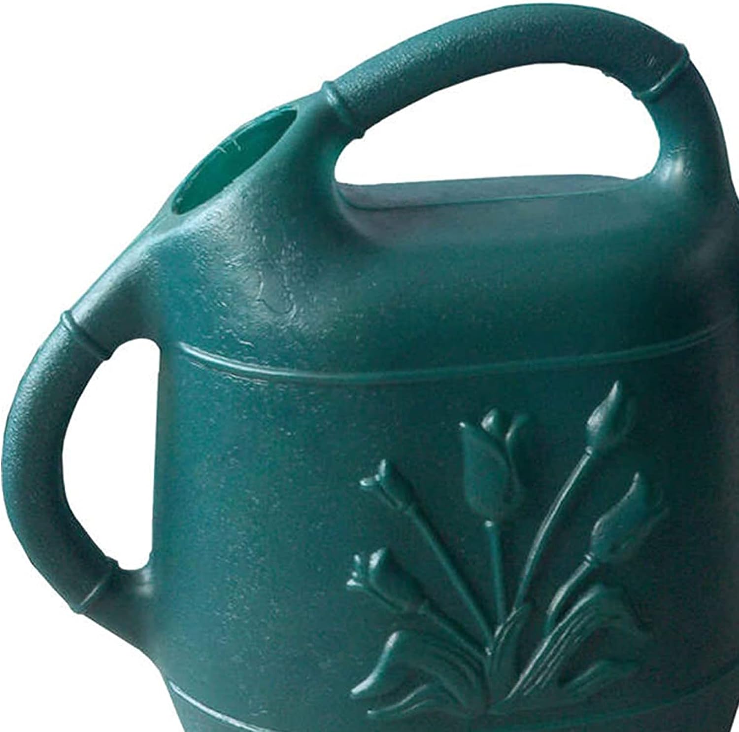 Union Products 63066 2 Gallon Plastic Indoor/Outdoor Watering Can w/Tulip Design for Garden, Potted Plants, & Patio Pots, Caribbean Blue