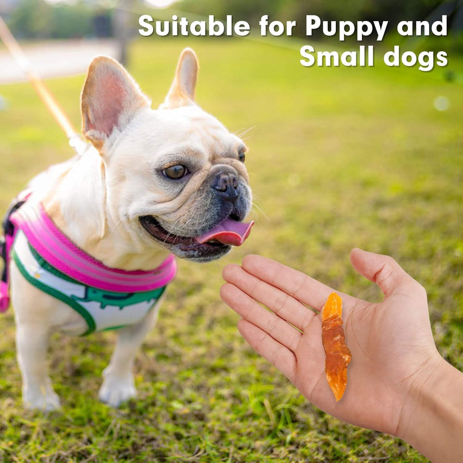 MON2SUN Dog Treats, Rawhide-Free Chicken Wrapped Sweet Potato, 25 oz
