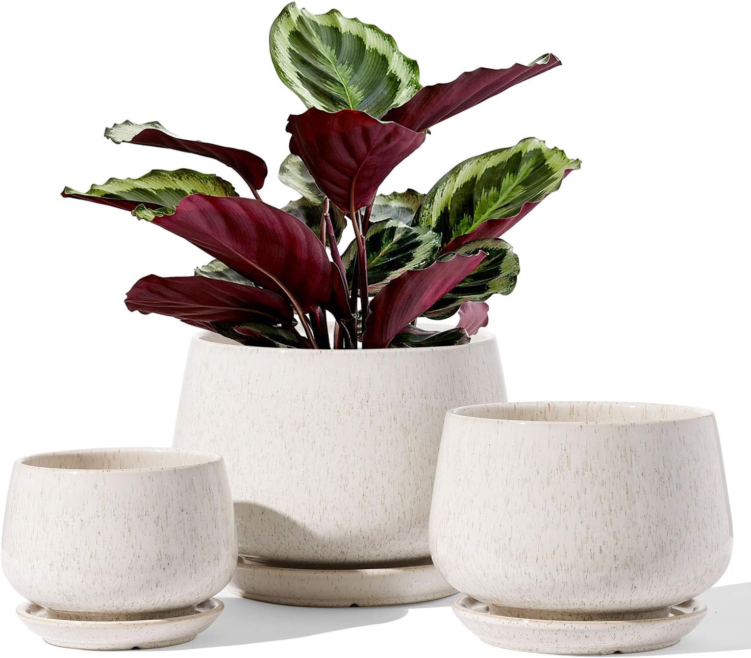 LE TAUCI Plant Pots, 4.1+5.1+6.5 inch, Set of 3, Ceramic Planters with Drainage Hole and Saucer, Indoor Flower Pot with Hole Mesh Pad, Gifts for Mom