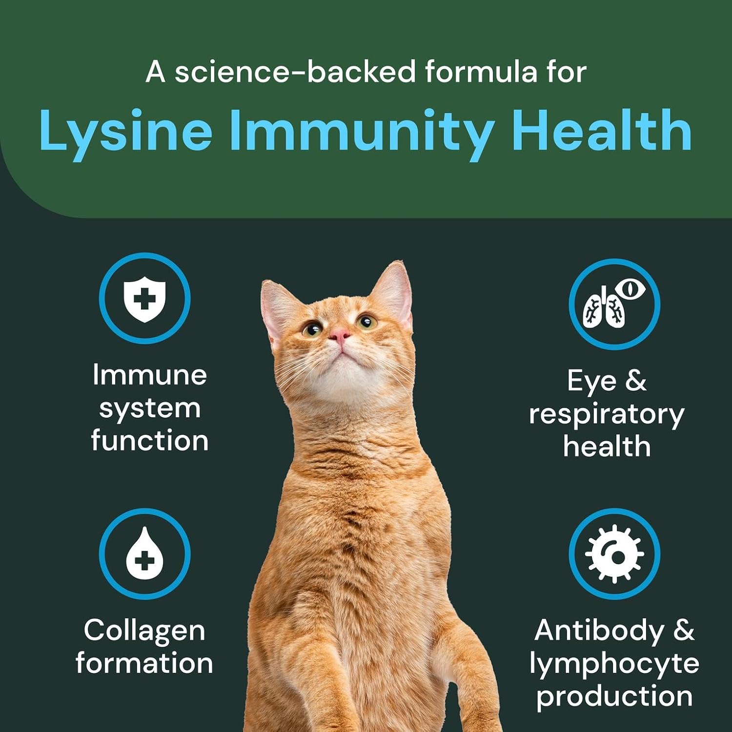 VETRISCIENCE Extra Strength Lysine Immunity Health Chews - Immunity Supplement for Cats of All Ages - Supports Immune Function