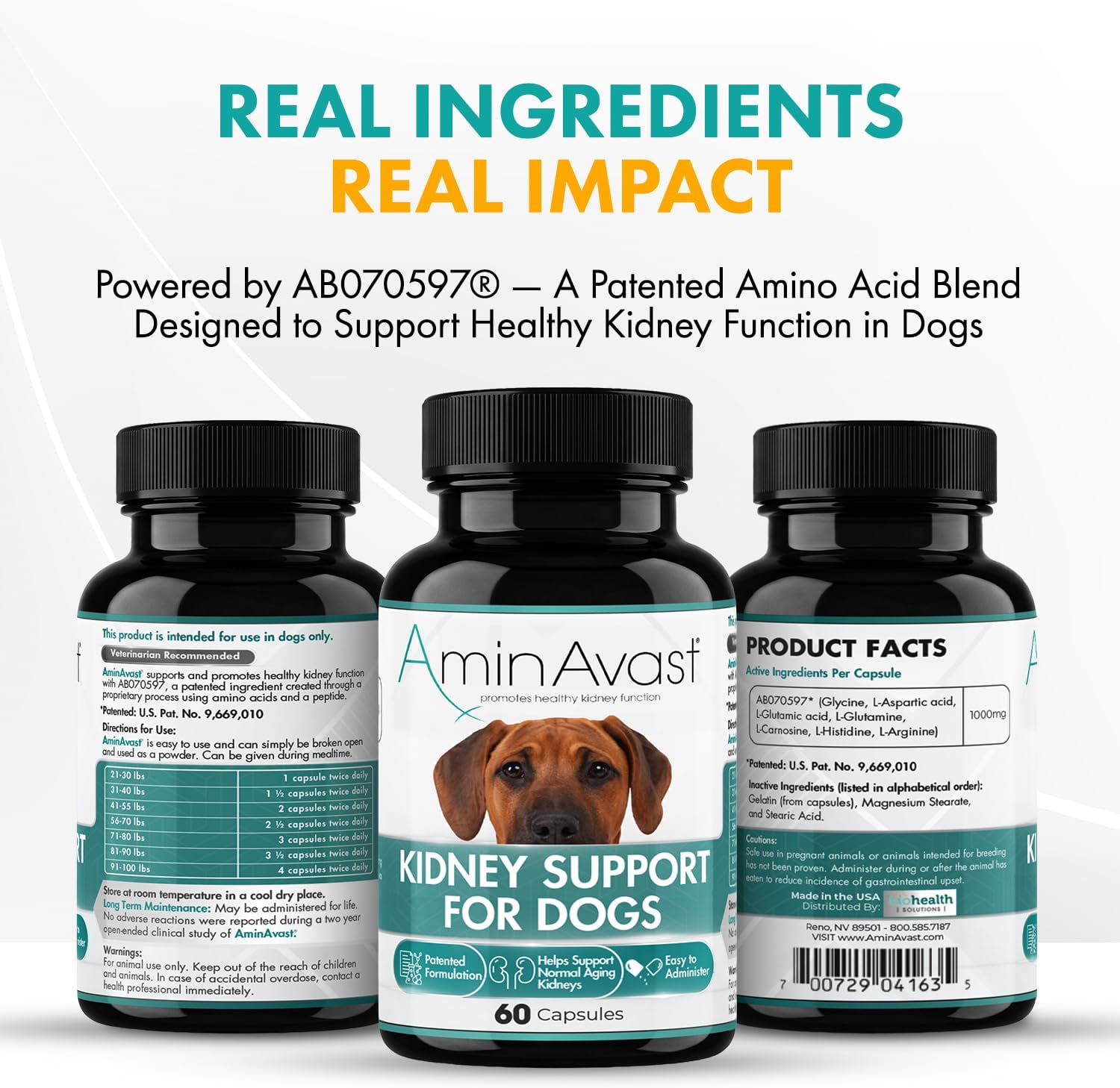 AminAvast Kidney Support for Dogs Over 20lb, 1000mg, 60 Sprinkle Capsules | Feed Directly or Open Capsules & Mix With Food, Flavorless, Easy Daily Use