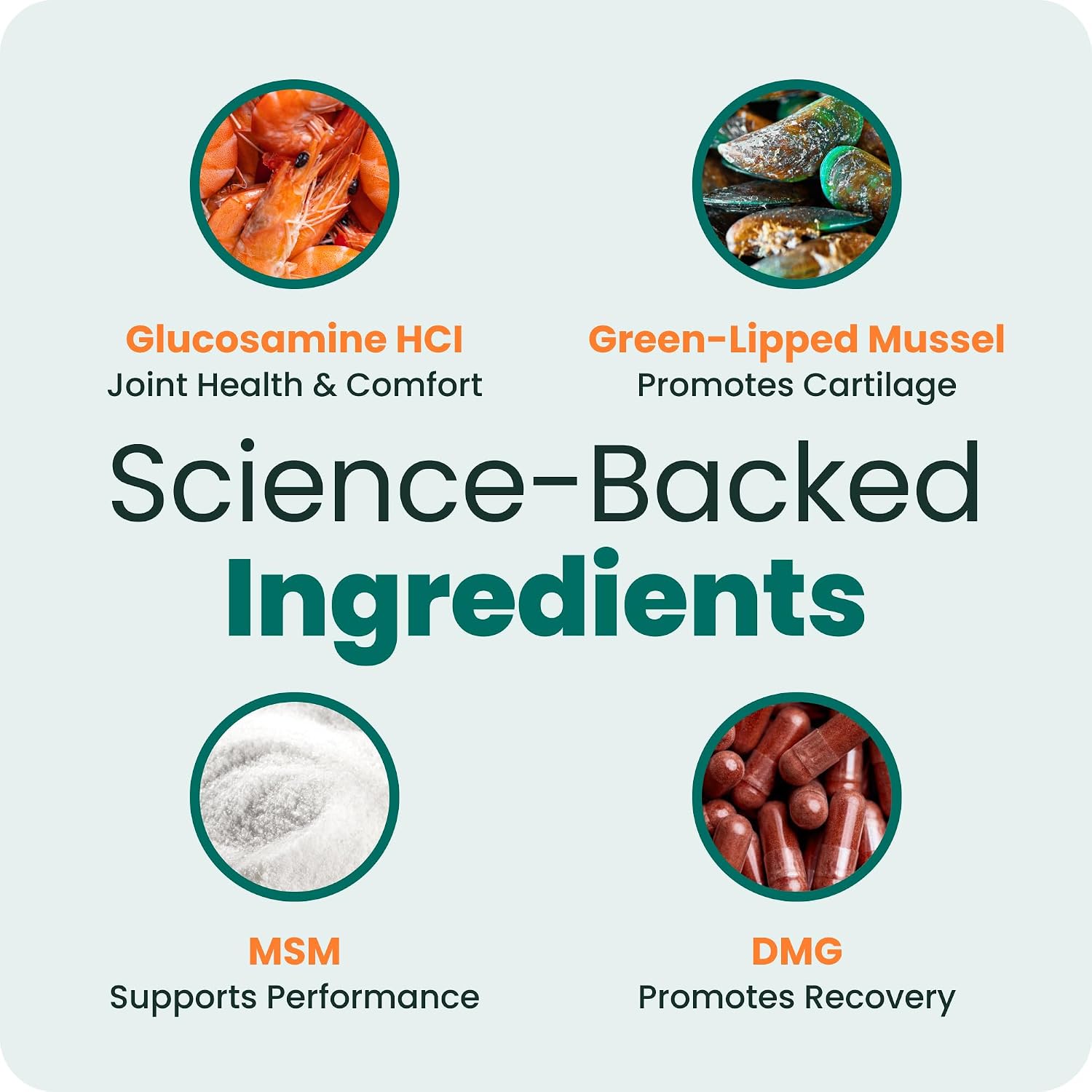 VetriScience Glycoflex 3 Clinically Proven Hip and Joint Supplement for Dogs - Maximum Strength Dog Supplement with Glucosamine, MSM, Green Lipped Mussel & DMG - 120 Count