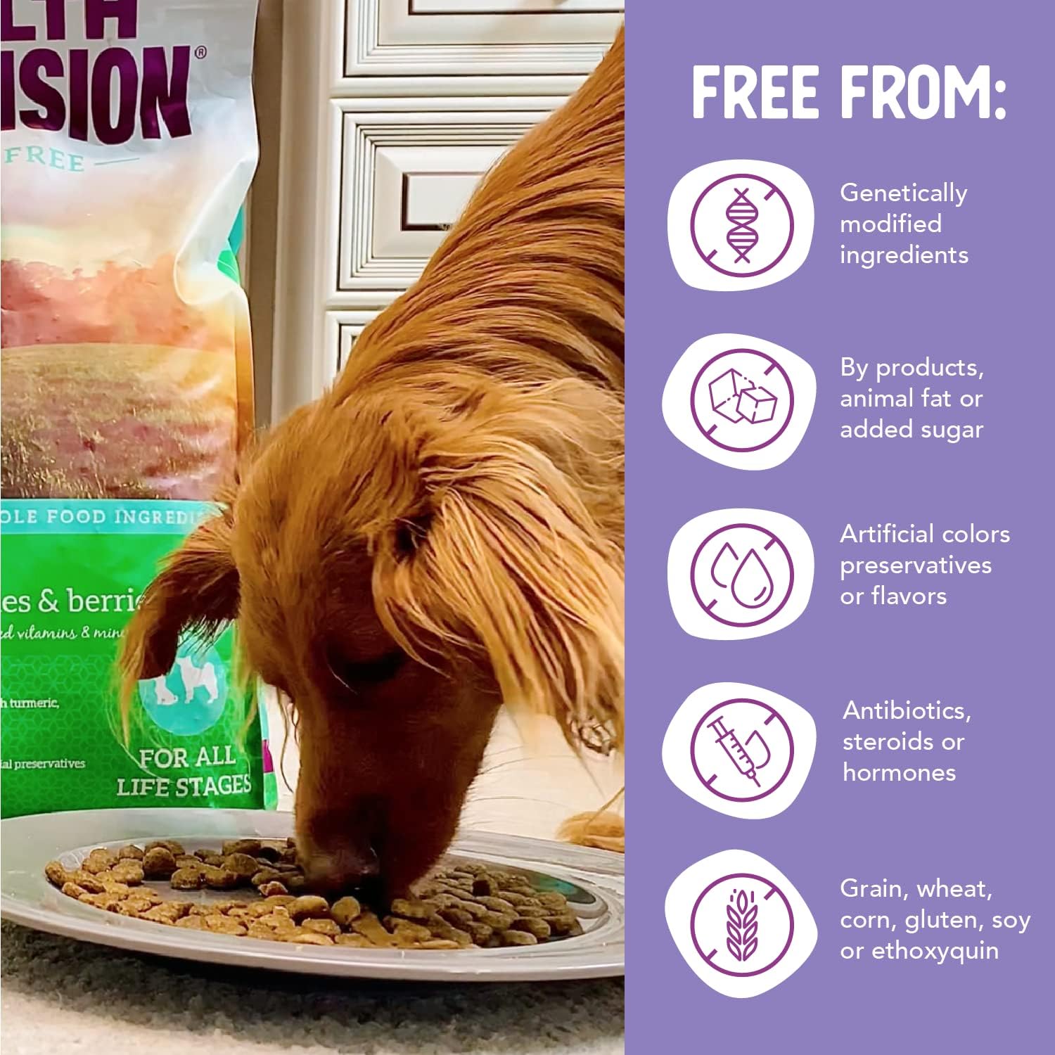 Health Extension Grain Free Venison & Sweet Potato Dry Dog Food - 30+ Superfoods and Probiotics for All Life Stages (10 lb)