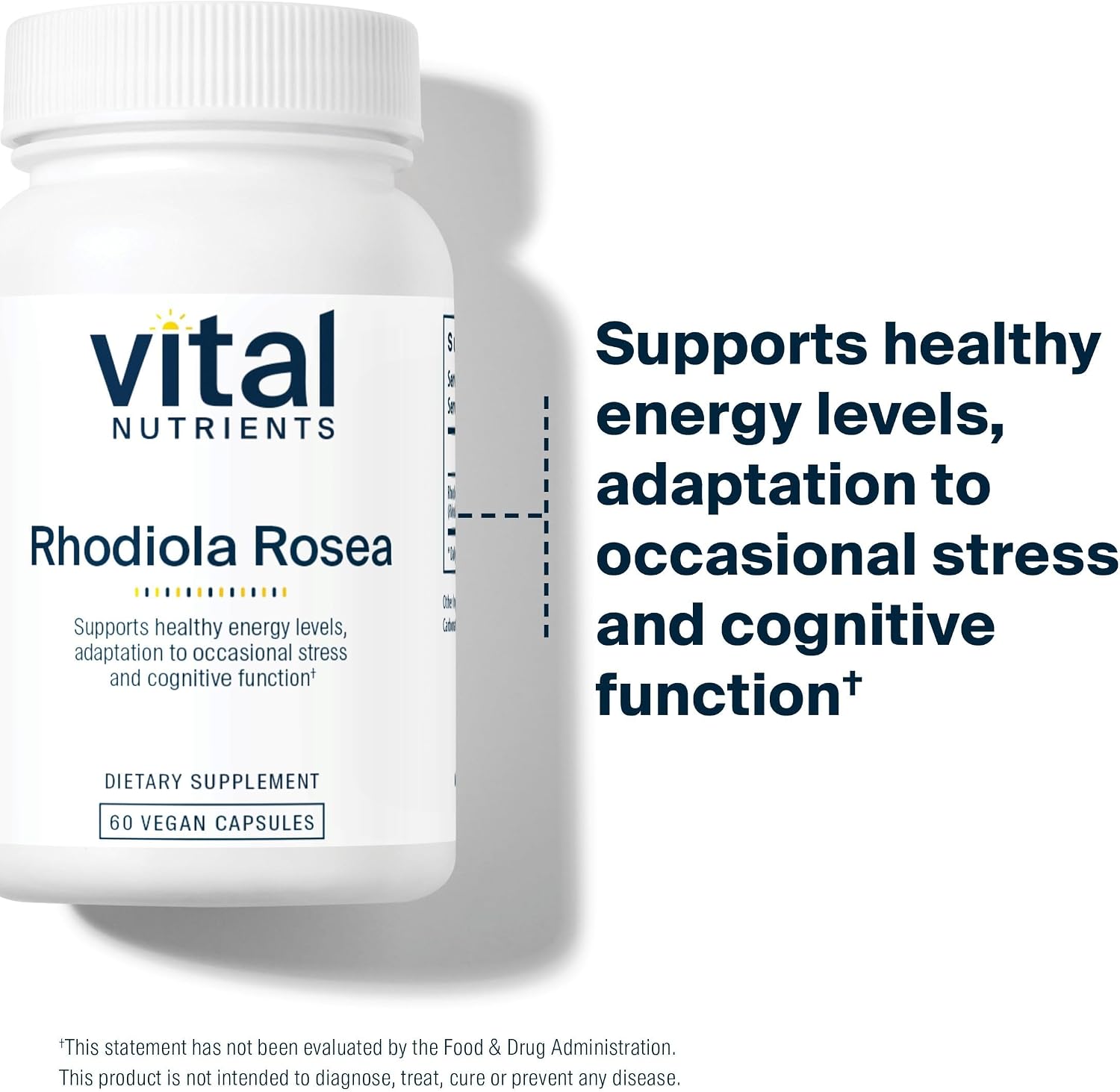 Vital Nutrients Rhodiola Rosea - Rhodiola Supplement for Healthy Energy, Memory, and Stress Support - Gluten, Dairy, Soy Free - Non-GMO - 60 Capsules