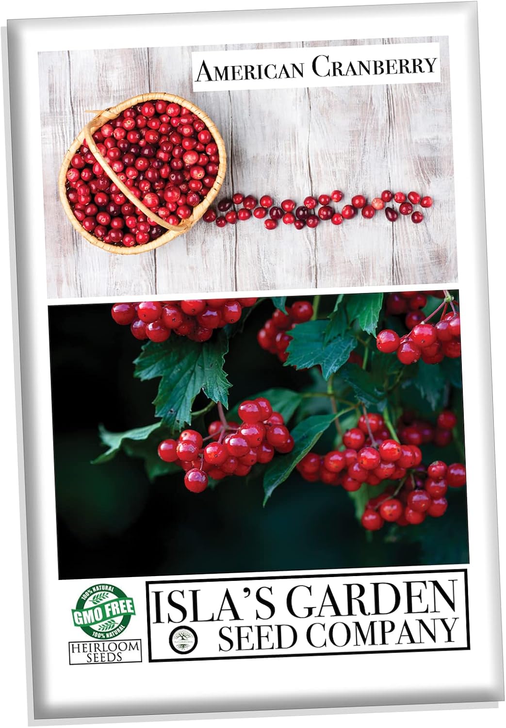 American Cranberry Bush Seeds (Viburnum trilobum) – 25+ Heirloom Seeds per Packet by Isla’s Garden Seeds, Hardy Shrub with Red Berries
